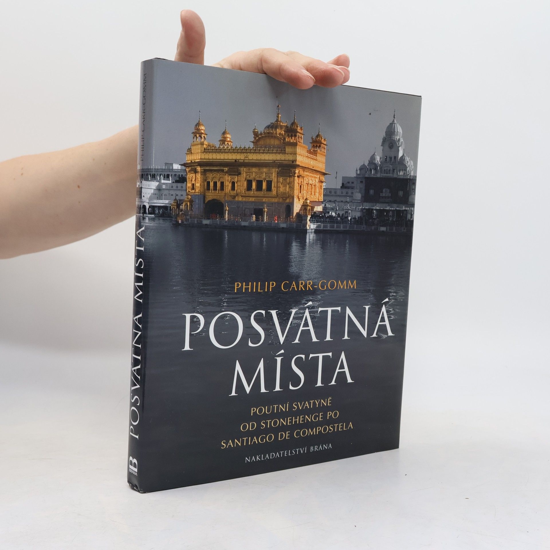 Philip Carr-Gomm Posvátná místa. Poutní svatyně od Stonehenge po Santiago de Compostela