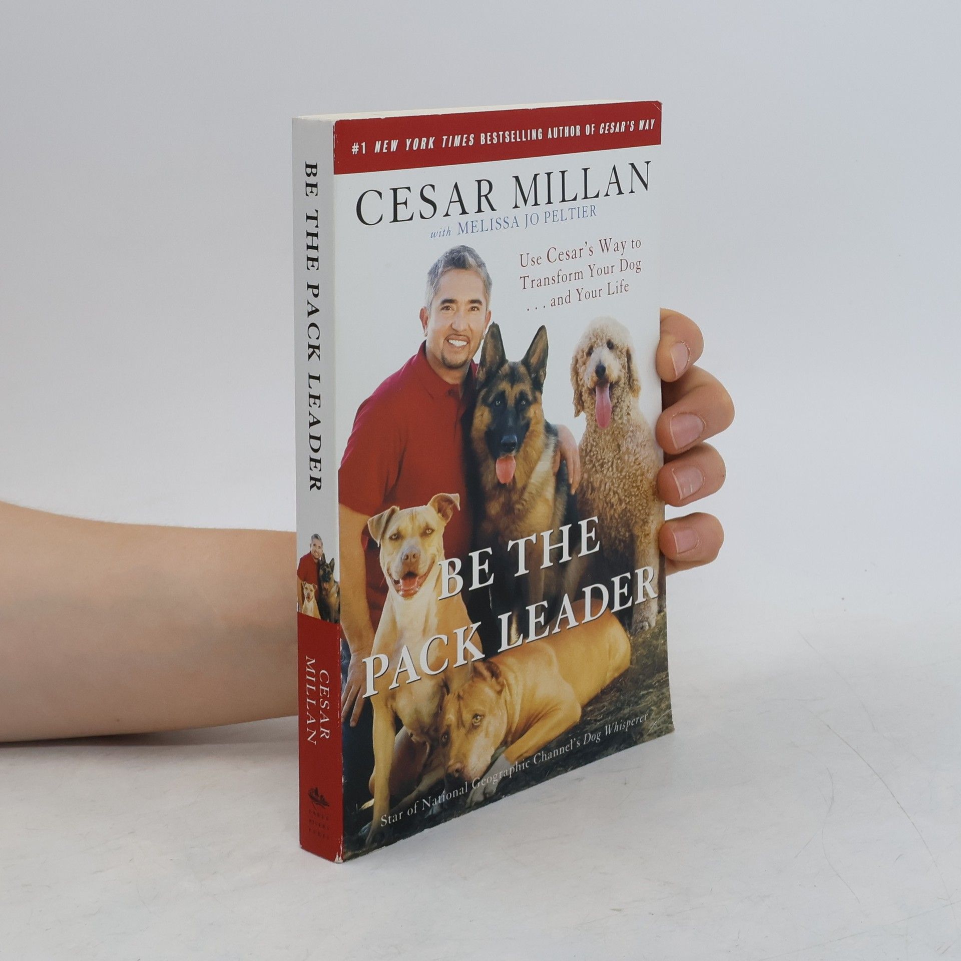 Cesar Millan Be the pack leader