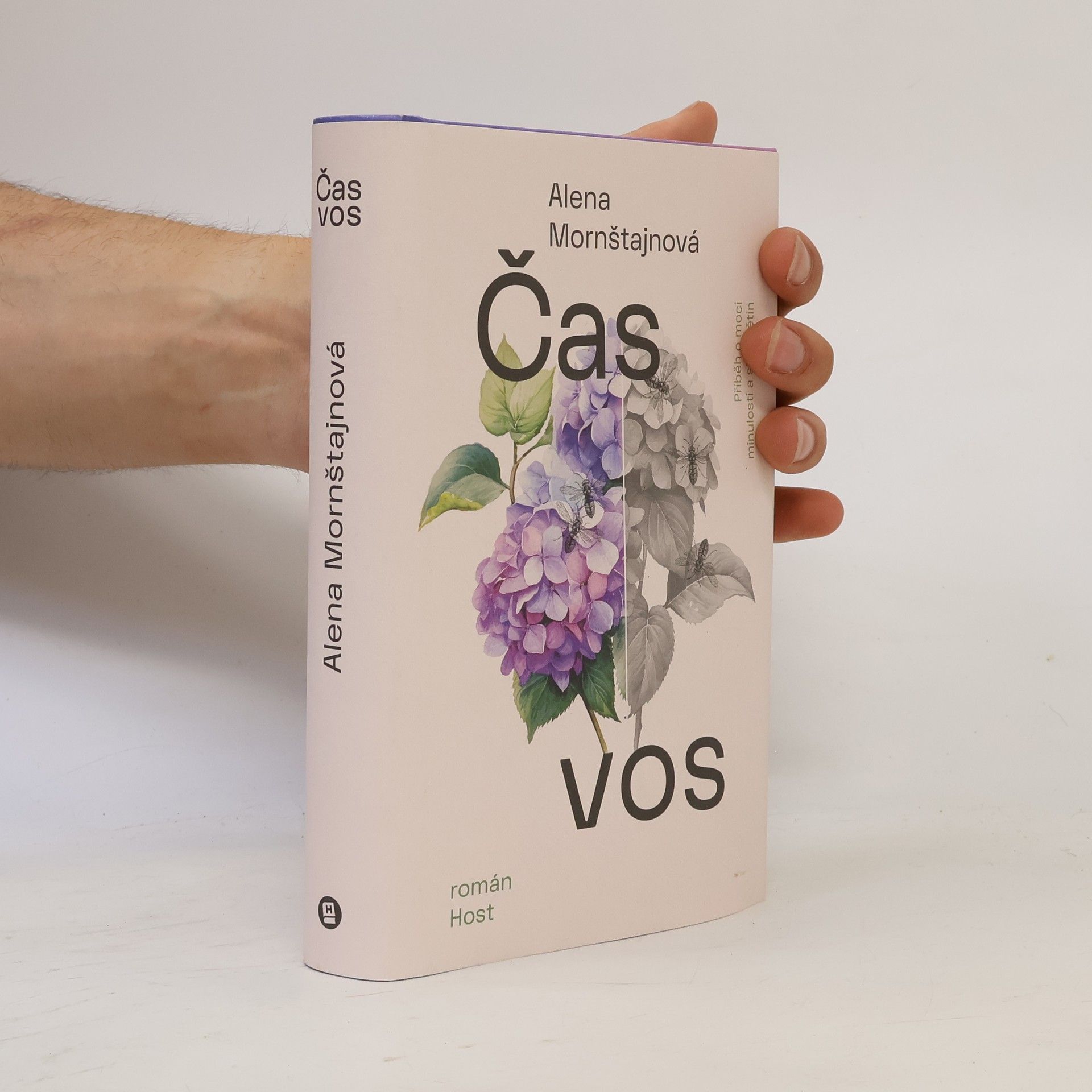 Alena Mornštajnová Čas vos