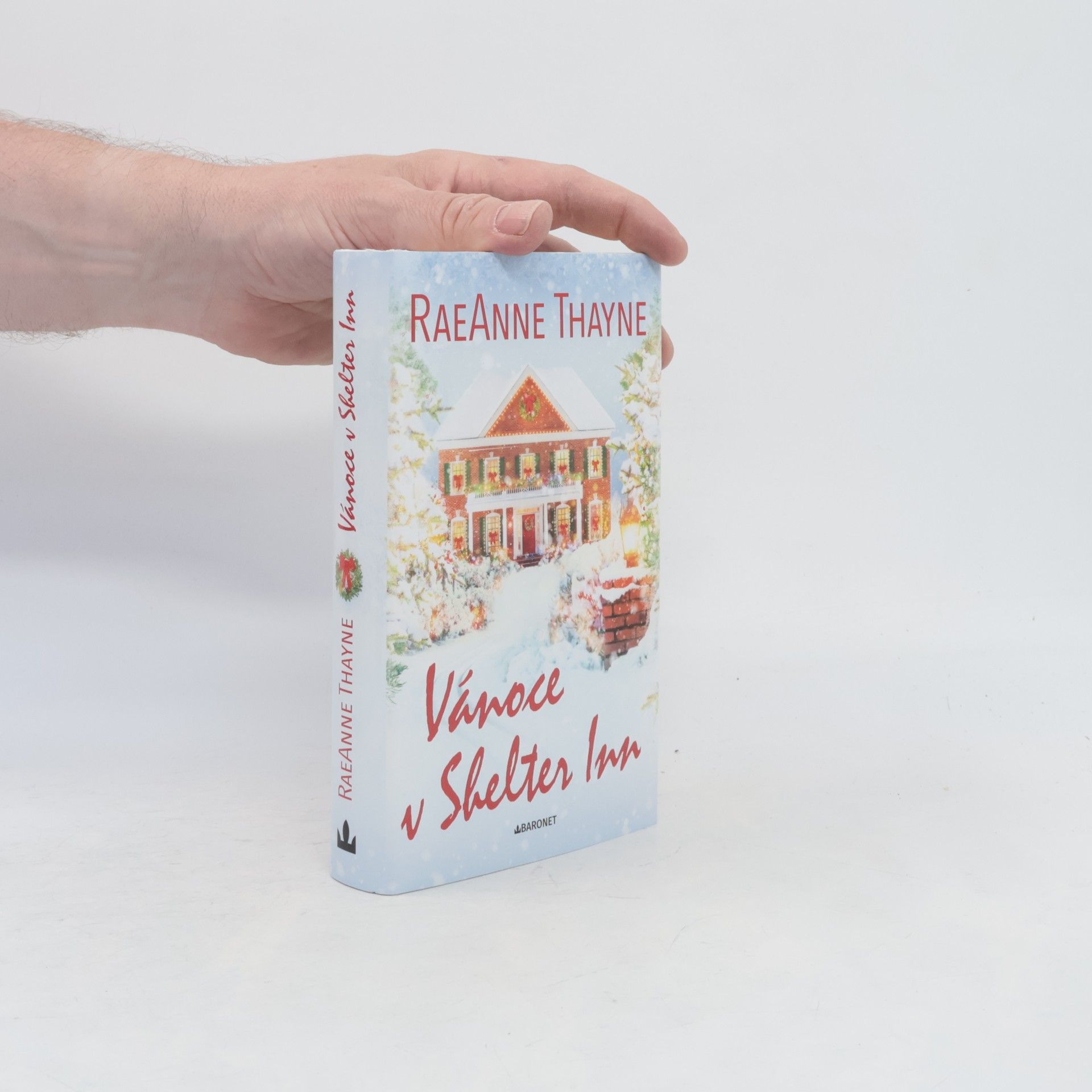 RaeAnne Thayne Vánoce v Shelter Inn