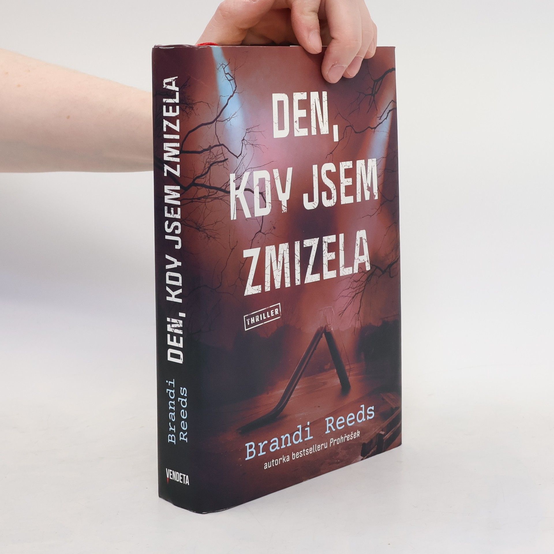 Brandi Reeds Den, kdy jsem zmizela