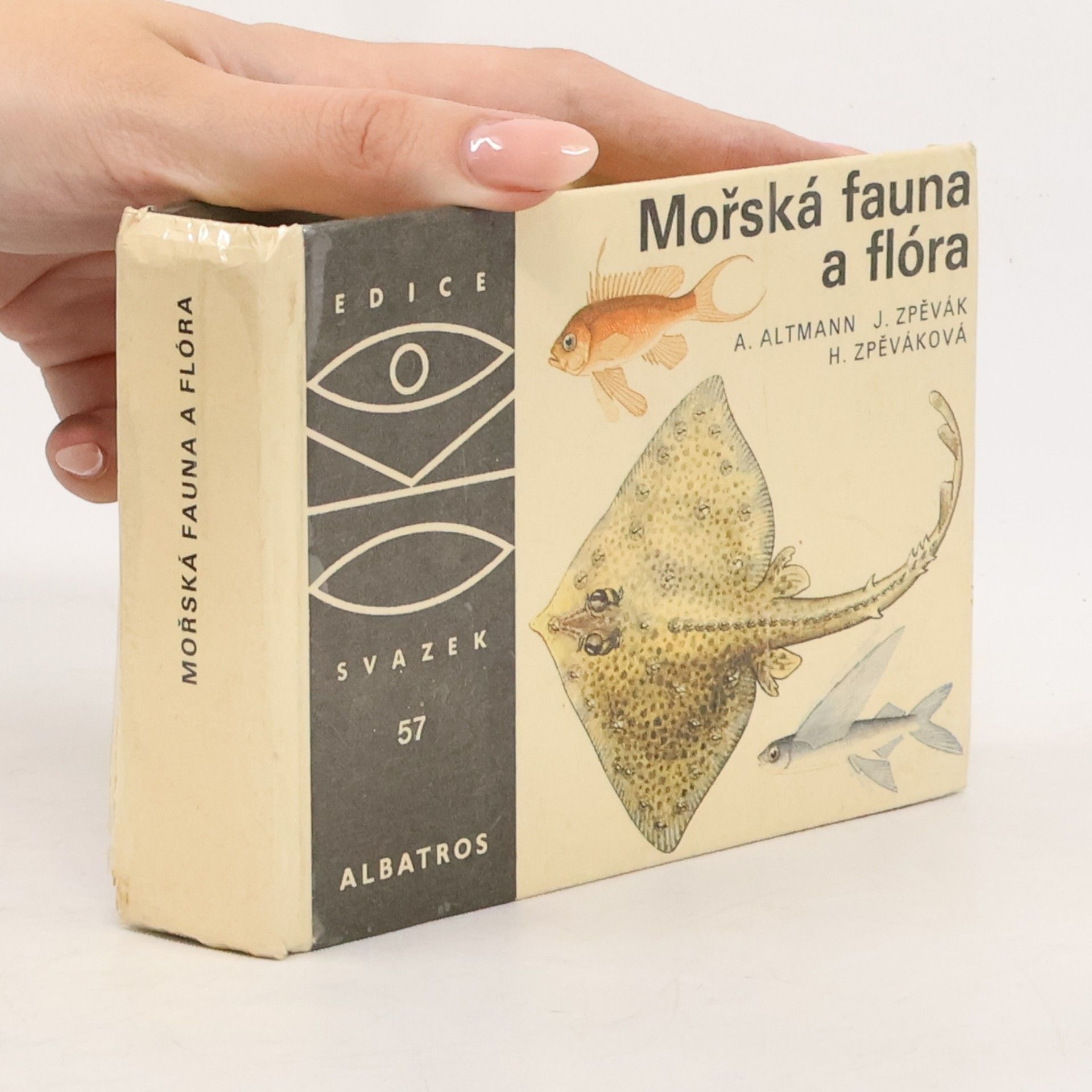 Antonín Altmann Mořská fauna a flóra