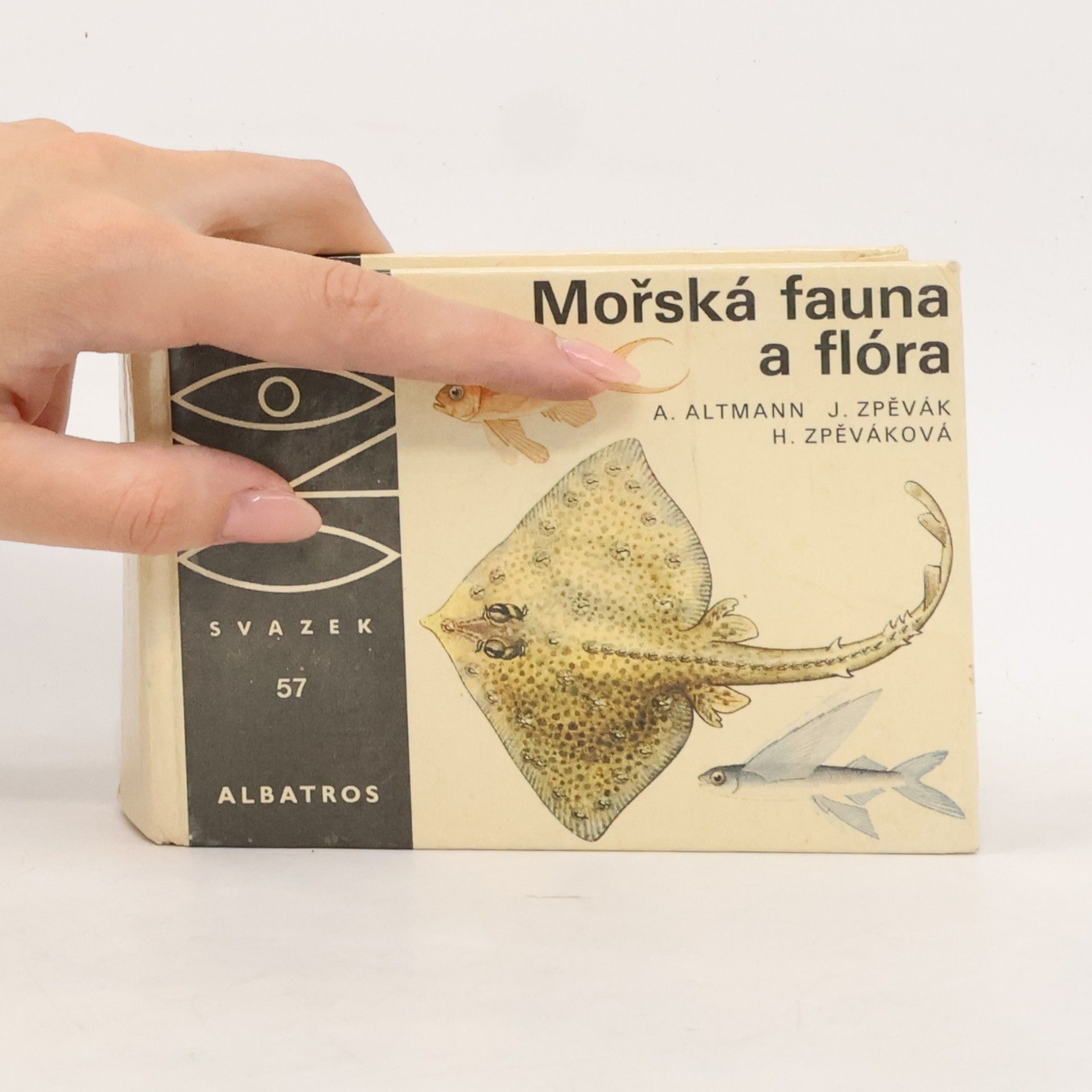 Antonín Altmann Mořská fauna a flóra