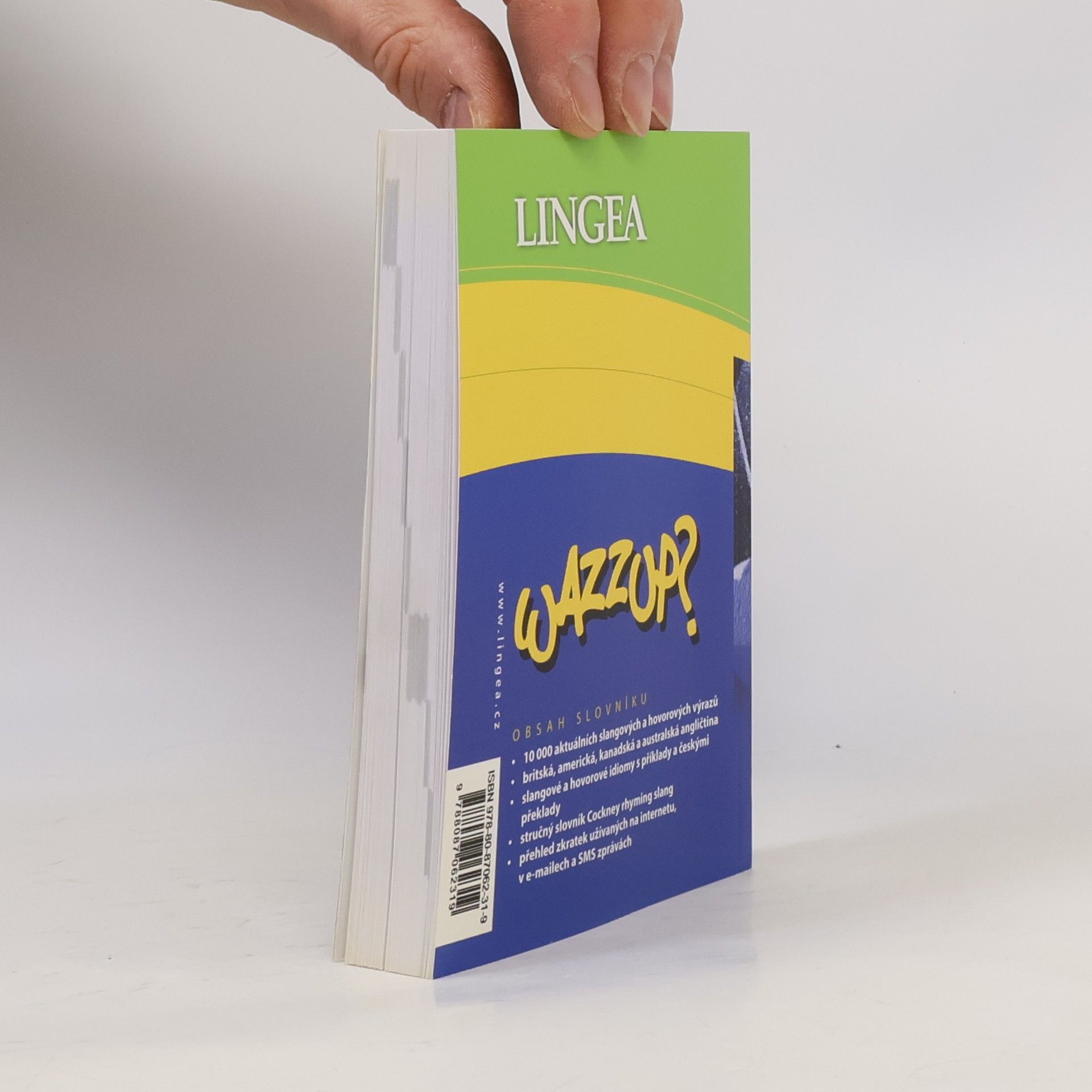Autorenkollektiv Wazzup? : slovník slangu a hovorové angličtiny