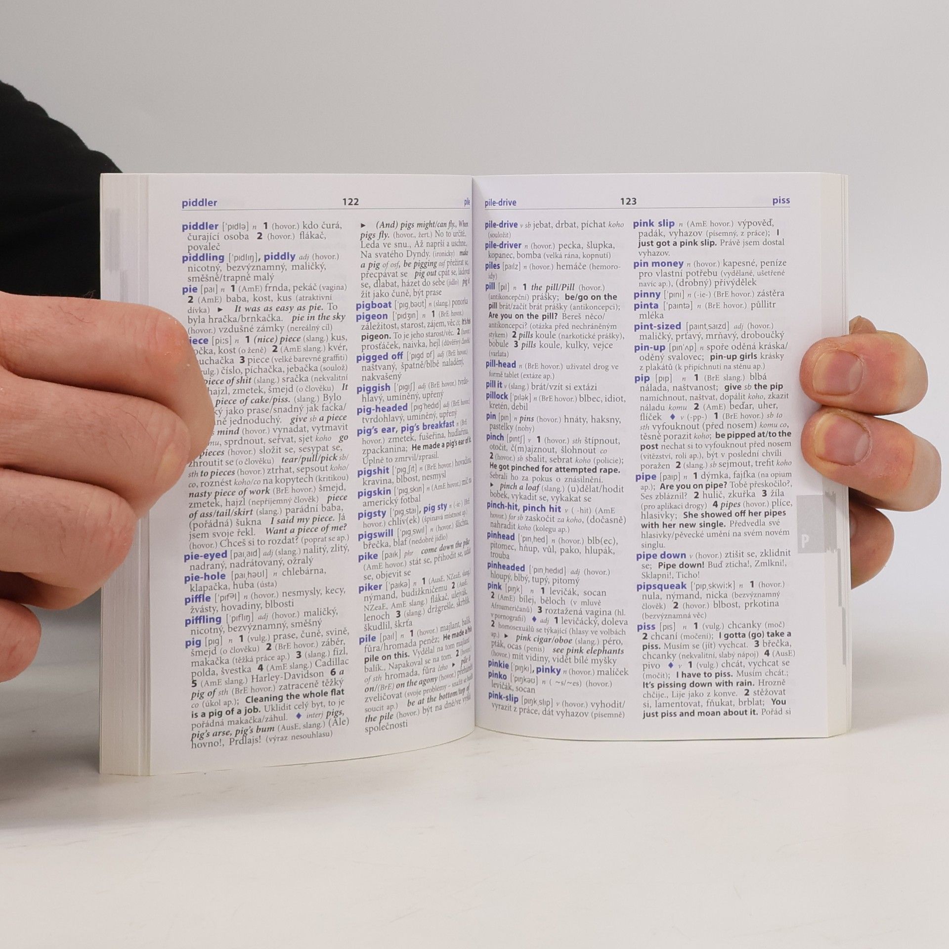 Autorenkollektiv Wazzup? : slovník slangu a hovorové angličtiny