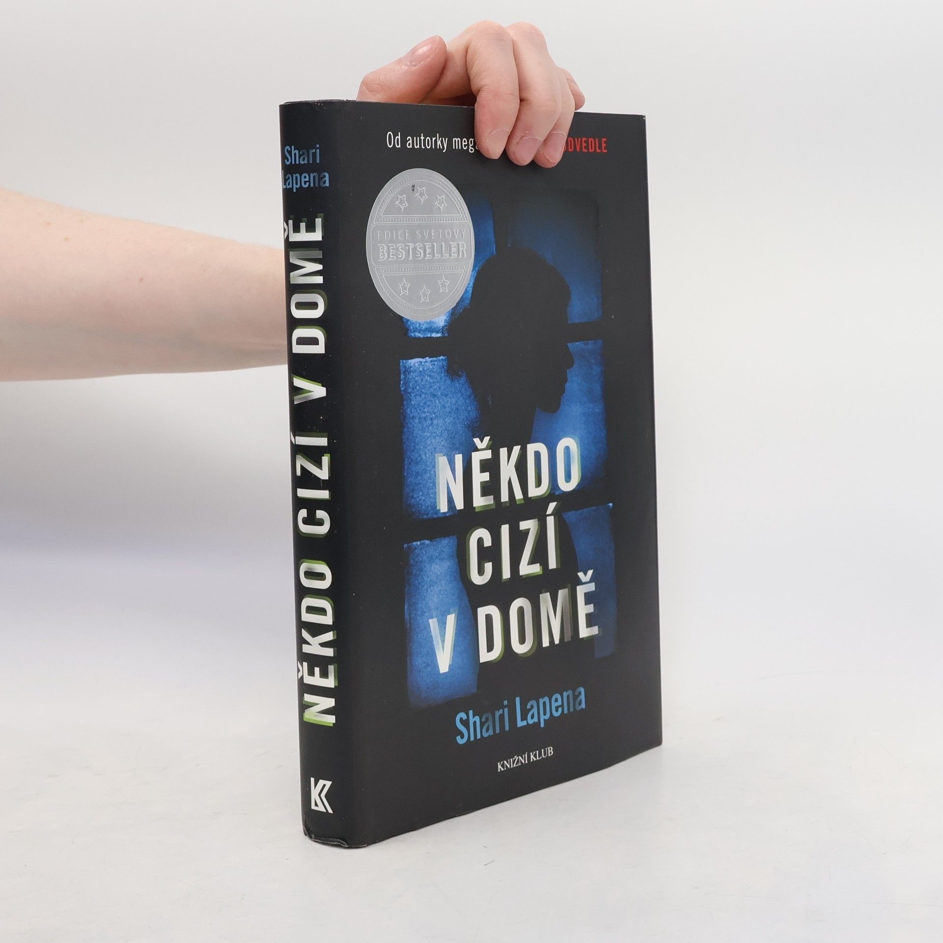Shari Lapenová Někdo cizí v domě
