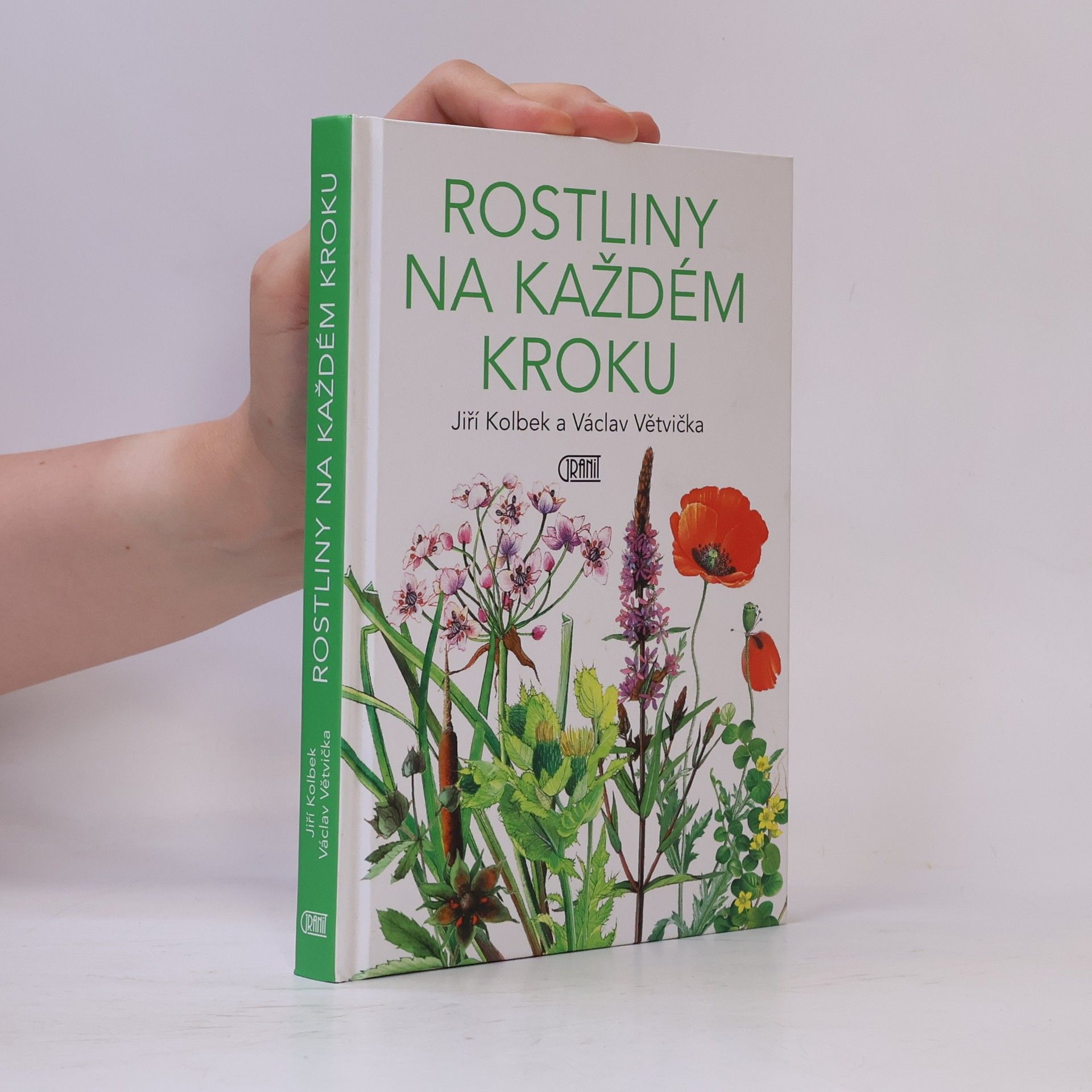 Rostliny na každém kroku
