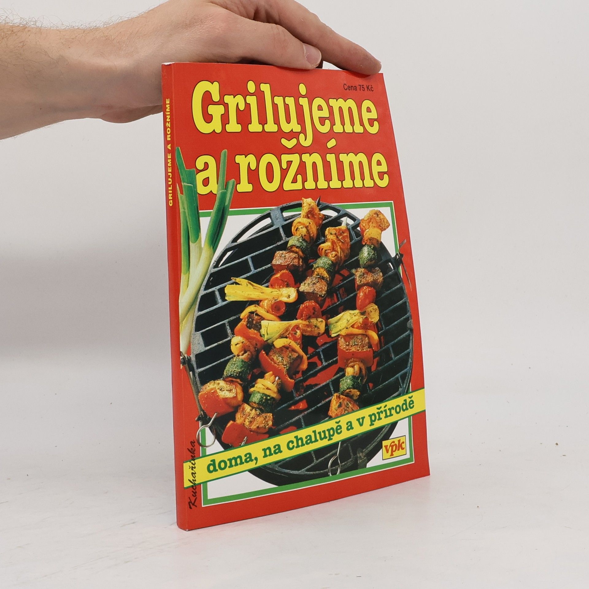 Libuše Vlachová Grilujeme a rožníme doma a na zahradě