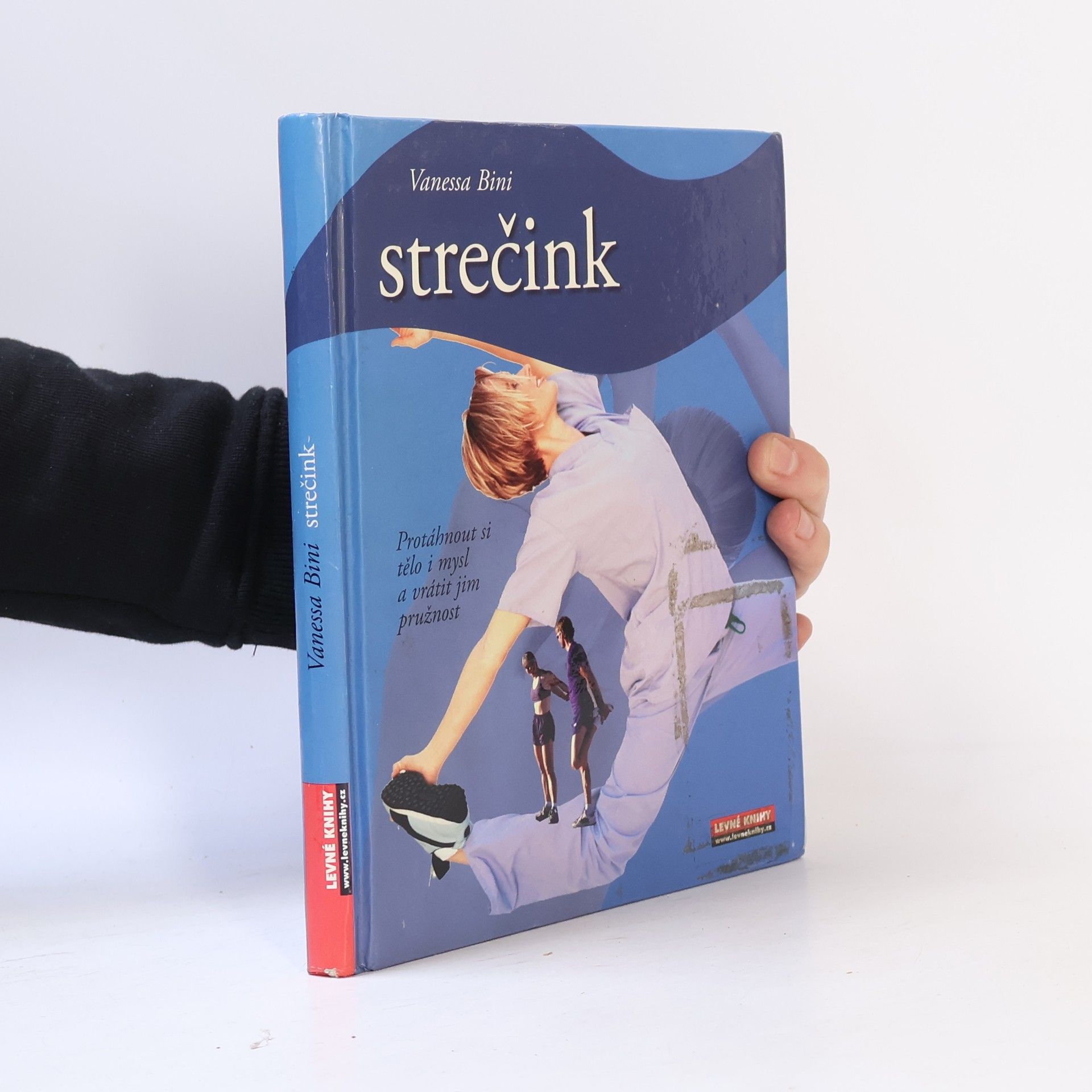 Vanessa Bini Strečink