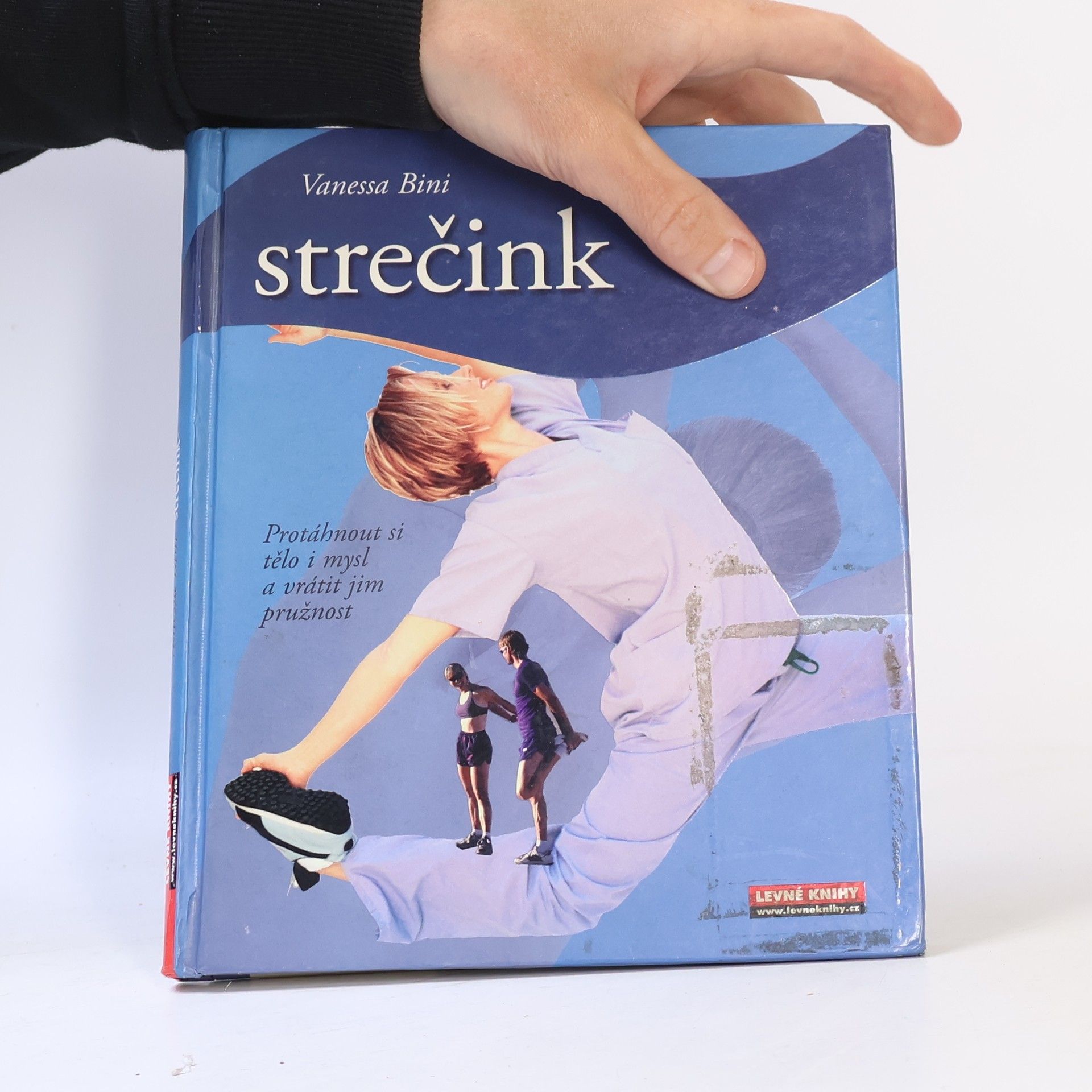 Vanessa Bini Strečink