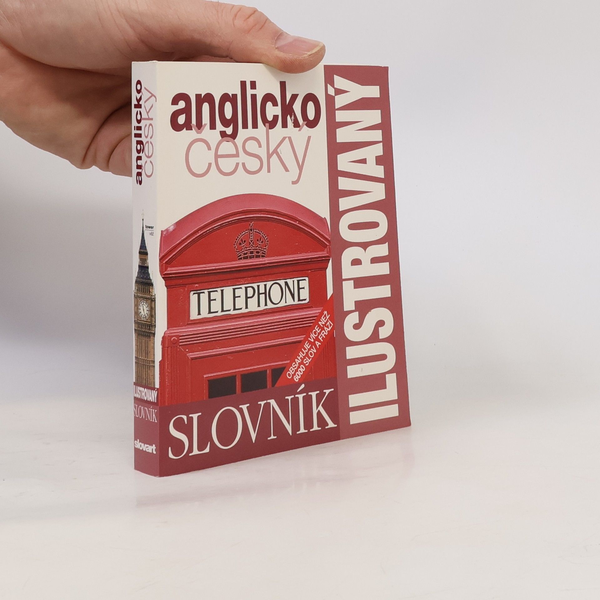 Zuzana Bedřichová Anglicko český ilustrovaný slovník