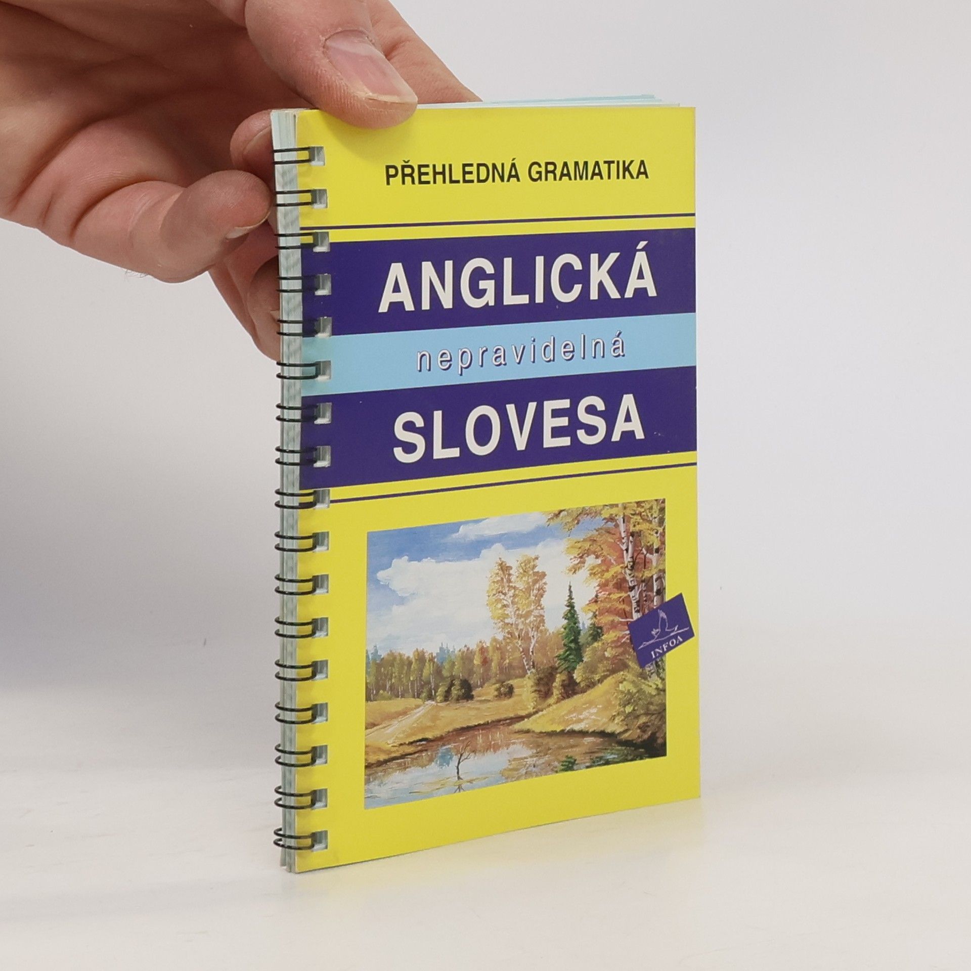 Ivana Doubravová Přehledná gramatika – anglická nepravidelná slovesa