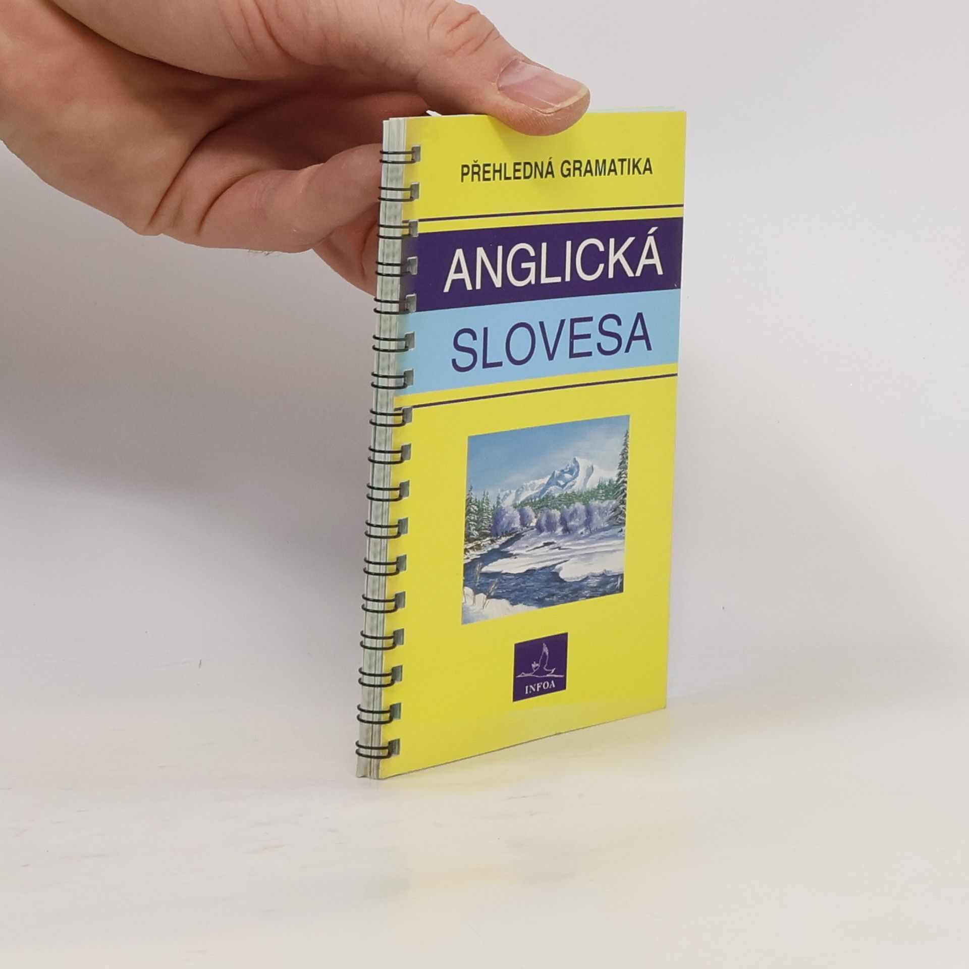 AA.VV. Anglická slovesa : přehledná gramatika
