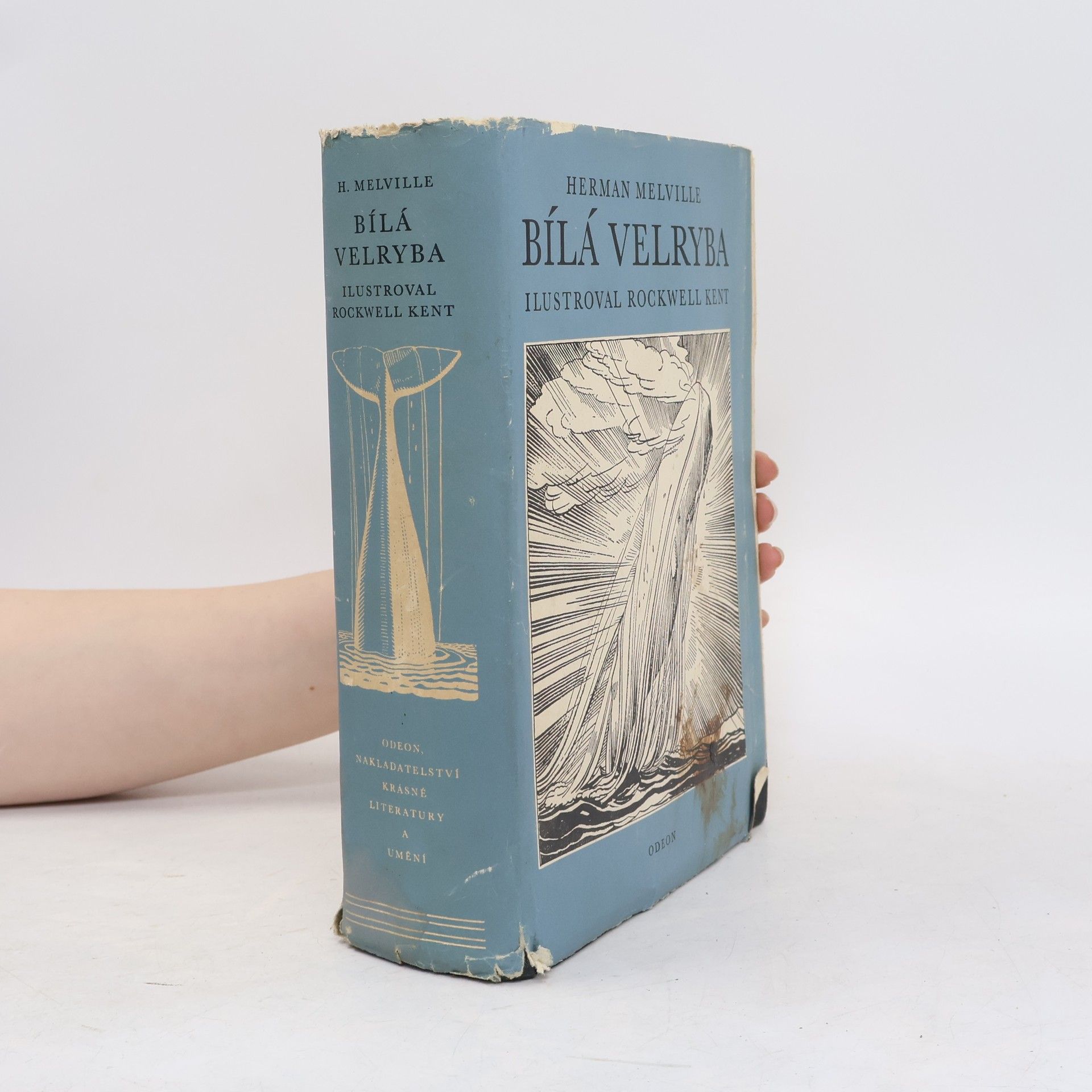 Herman Melville Bílá velryba