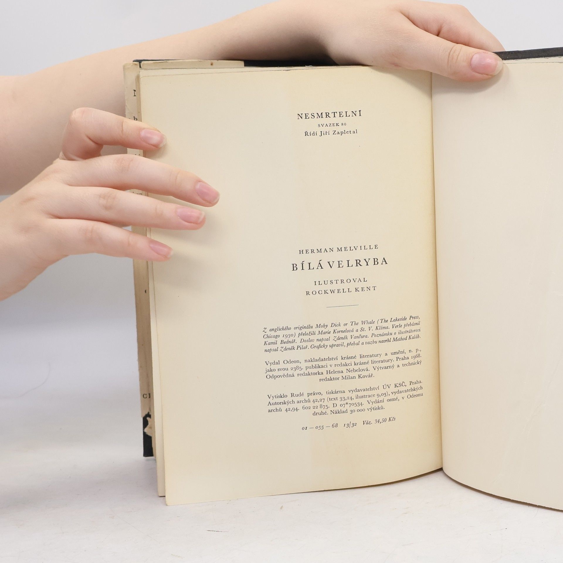 Herman Melville Bílá velryba