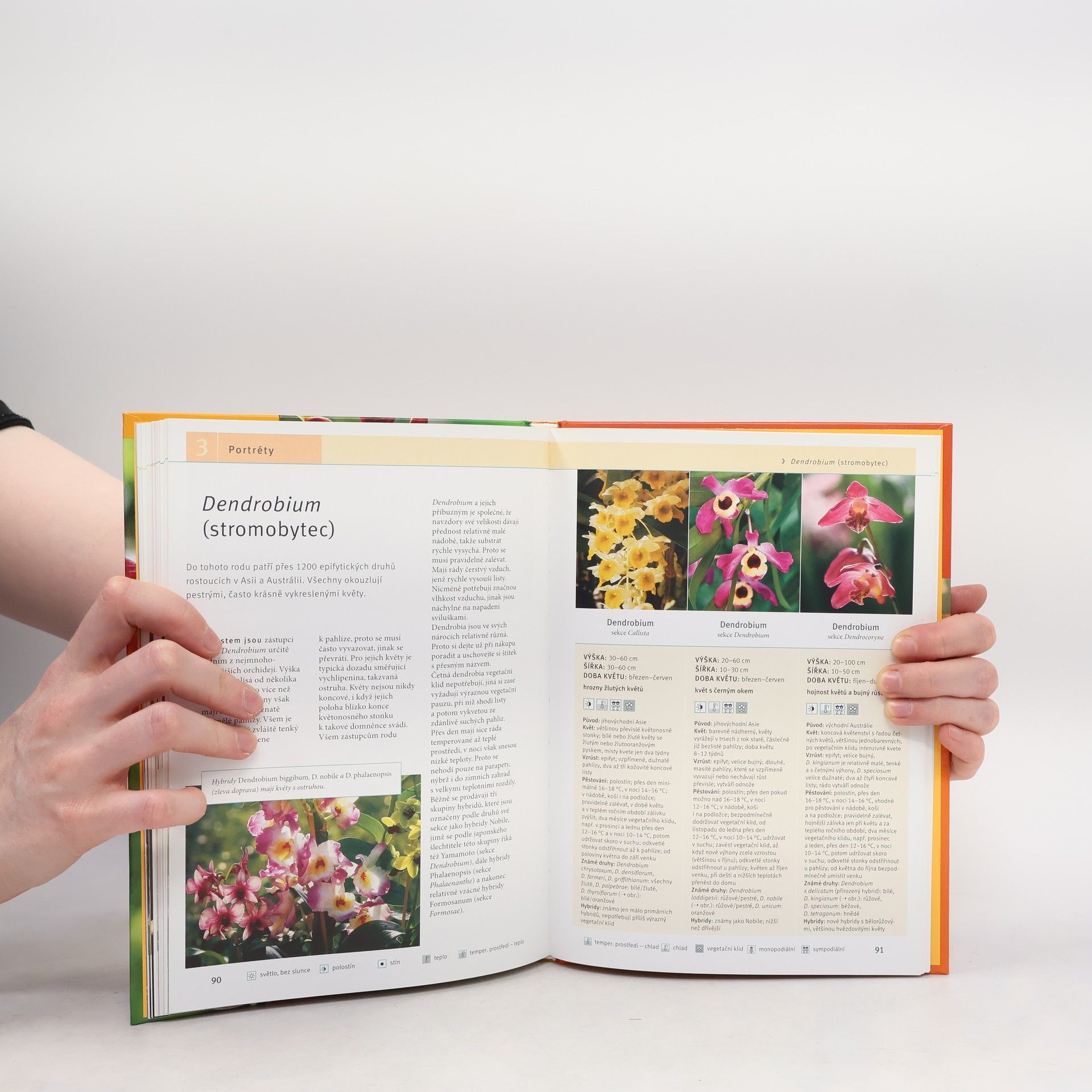 Frank Rolke Orchideje. Krok za krokem k exotické nádheře