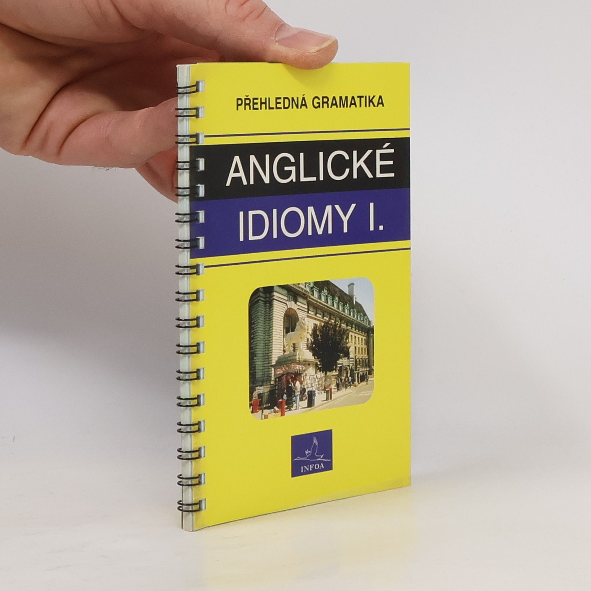 Kelly De Sarla Přehledná gramatika - anglické idiomy I.