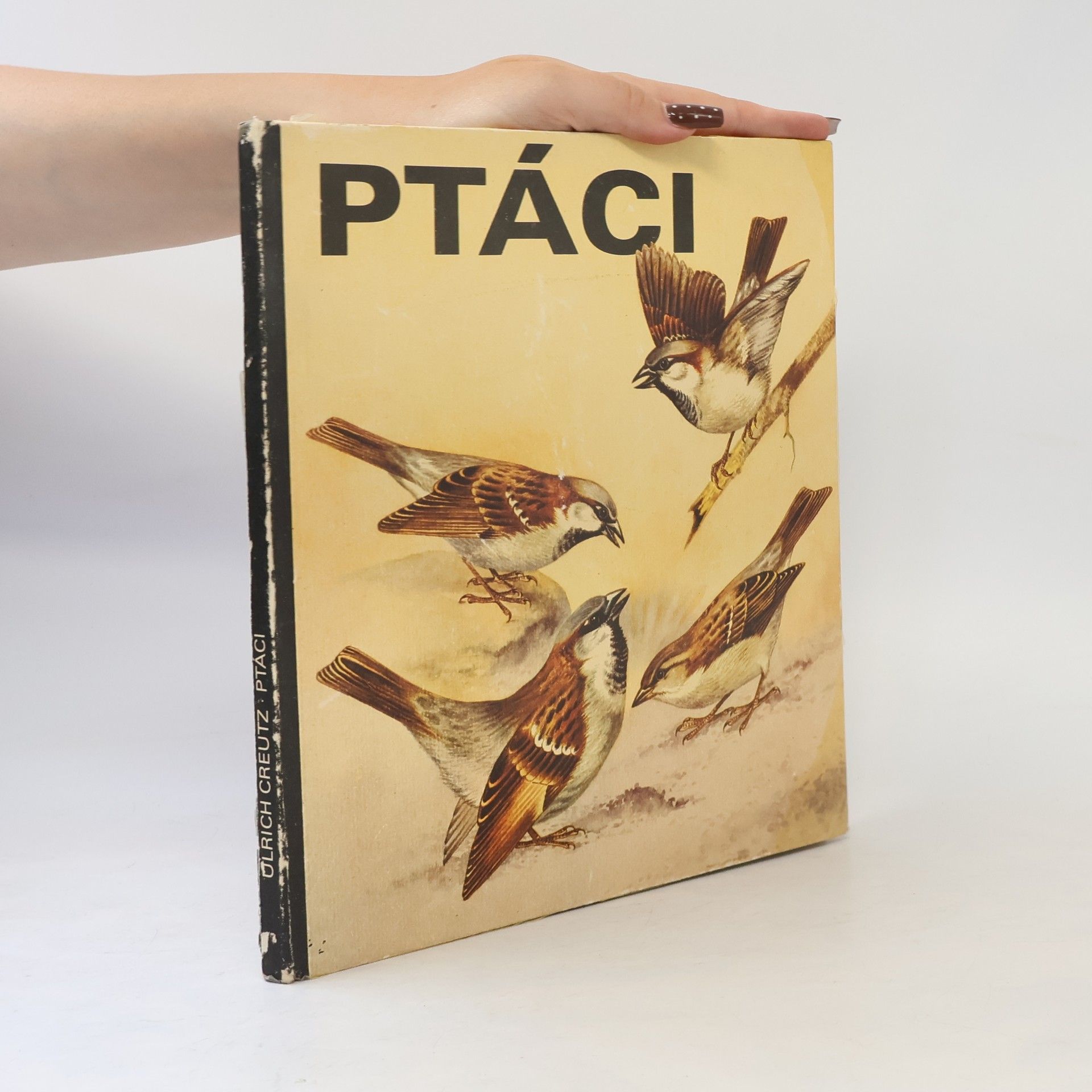 Ulrich Creutz Ptáci