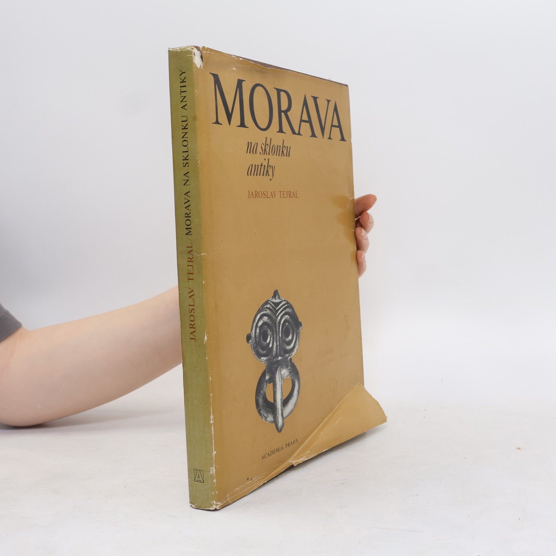 Jaroslav Tejral Morava na sklonku antiky