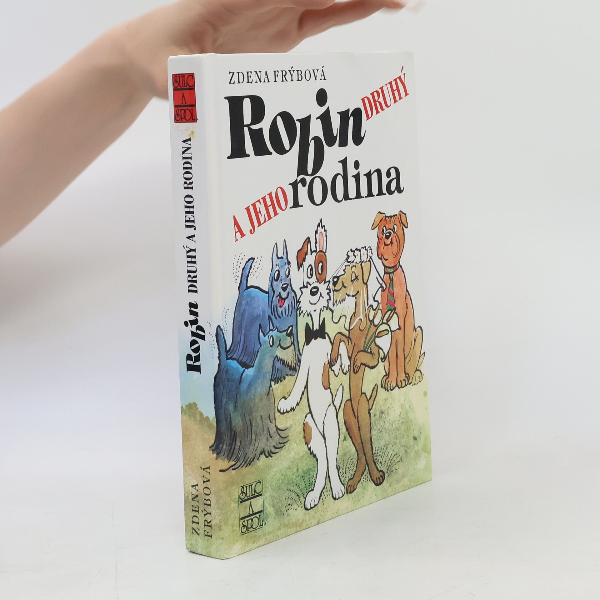 Zdena Frýbová Robin Druhý a jeho rodina