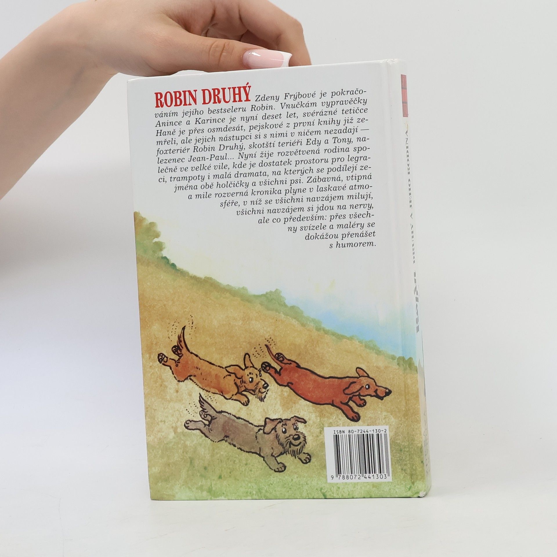 Zdena Frýbová Robin Druhý a jeho rodina