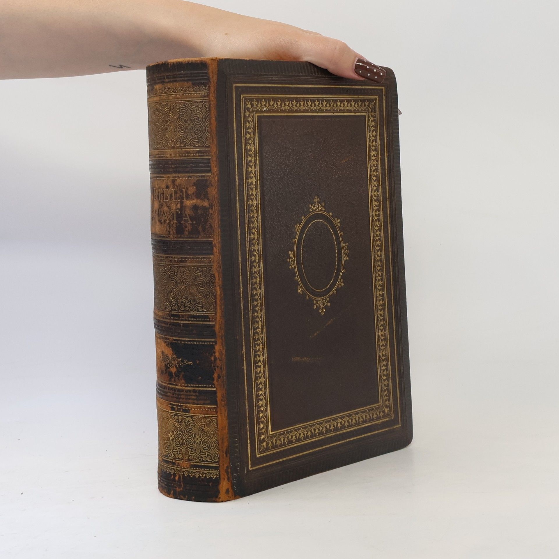 Autorenkollektiv Biblí Svatá aneb všecka Svatá Písma Starého i Nového Zákona