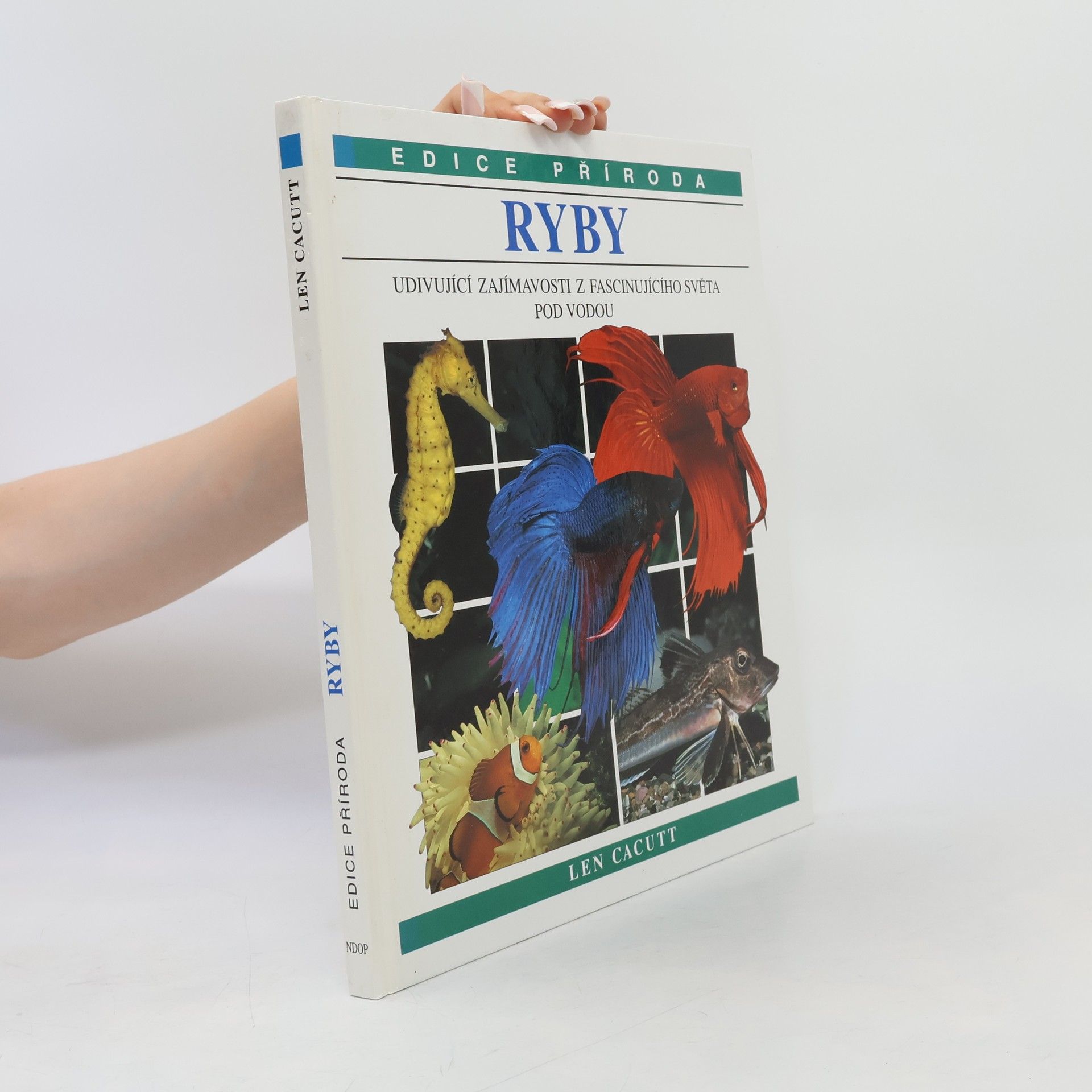 Len Cacutt Ryby