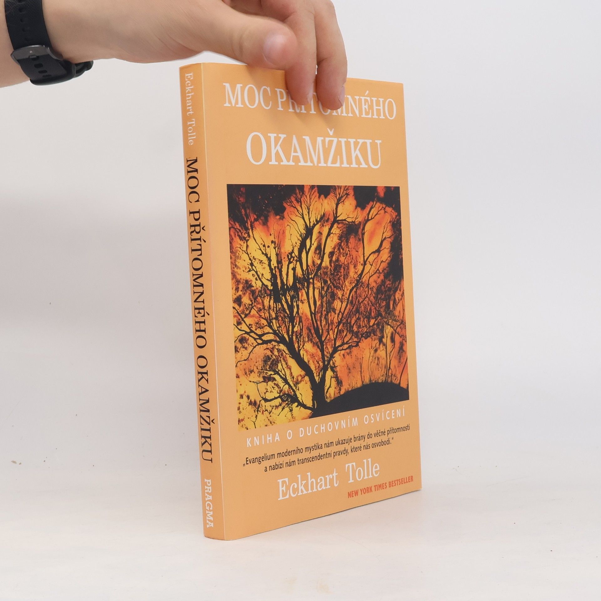 Eckhart Tolle Moc přítomného okamžiku