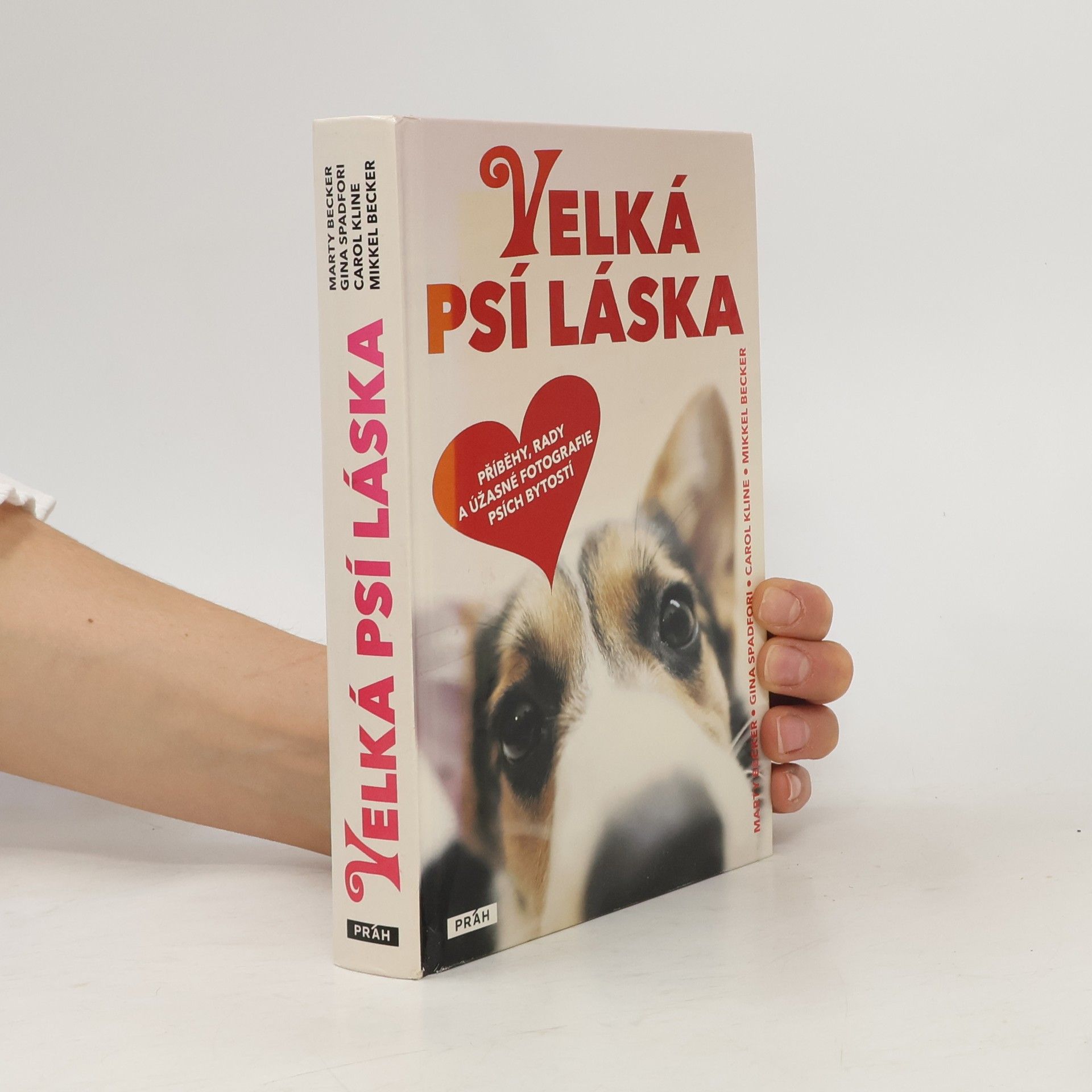 Marty Becker Velká psí láska: Příběhy, rady a úžasné fotografie psích bytostí