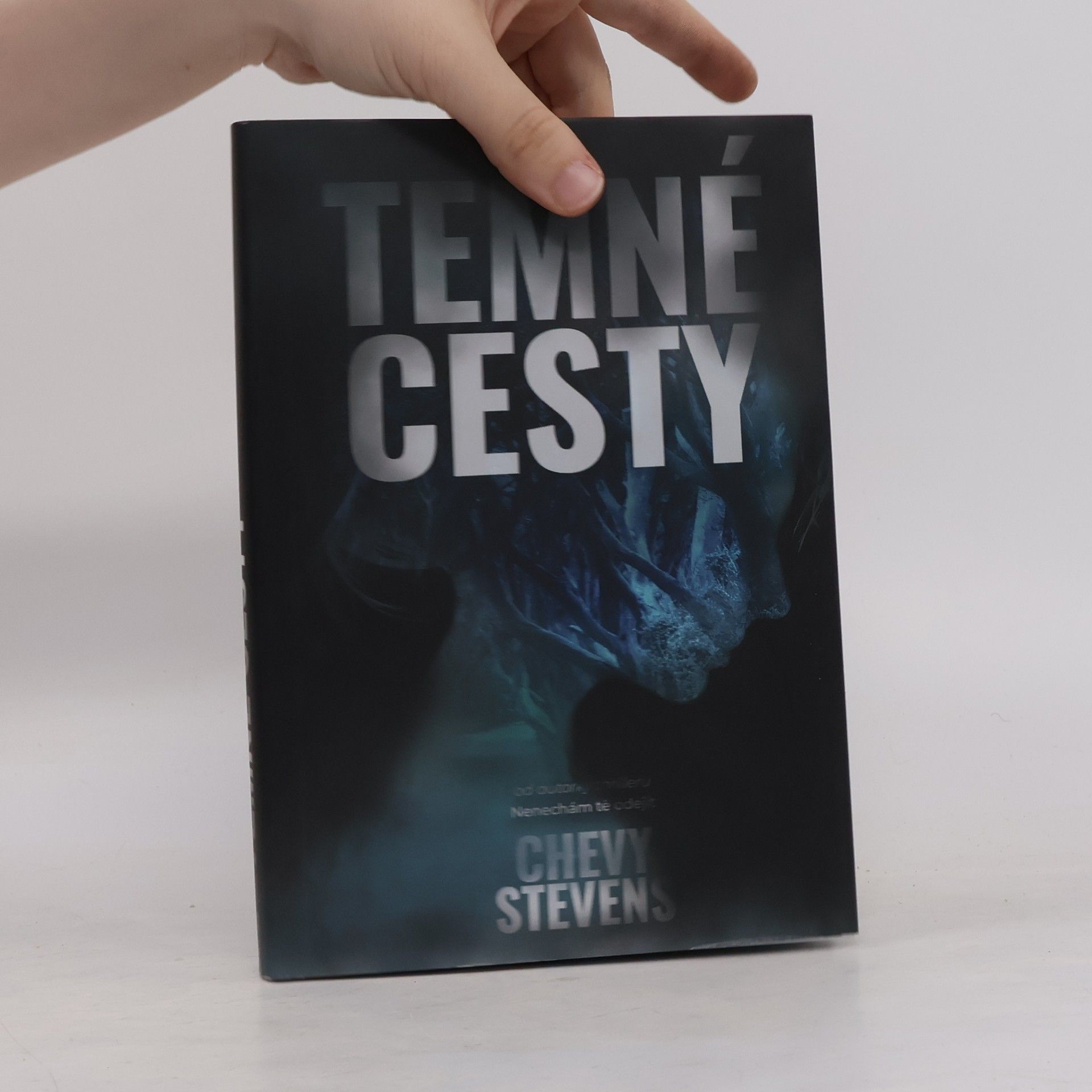 Chevy Stevens Temné cesty