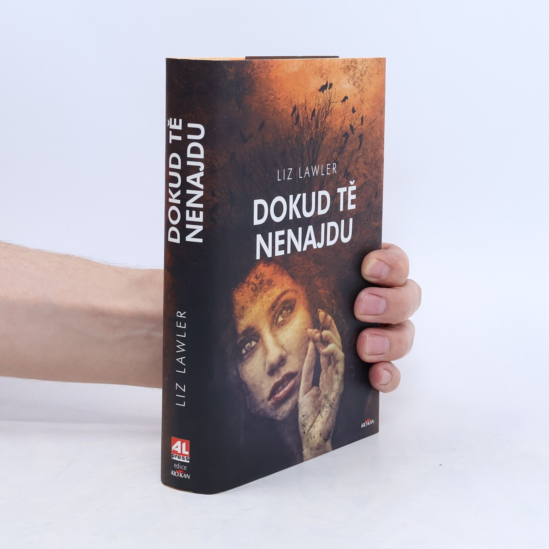 Liz Lawler Dokud tě nenajdu