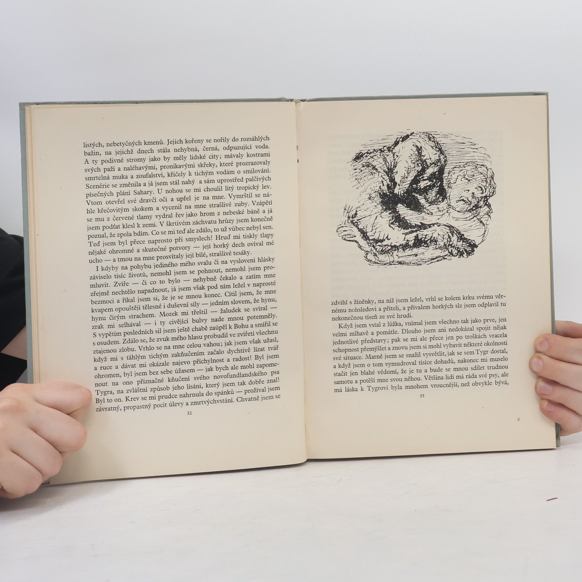 Edgar Allan Poe Příběhy Artura Gordona Pyma