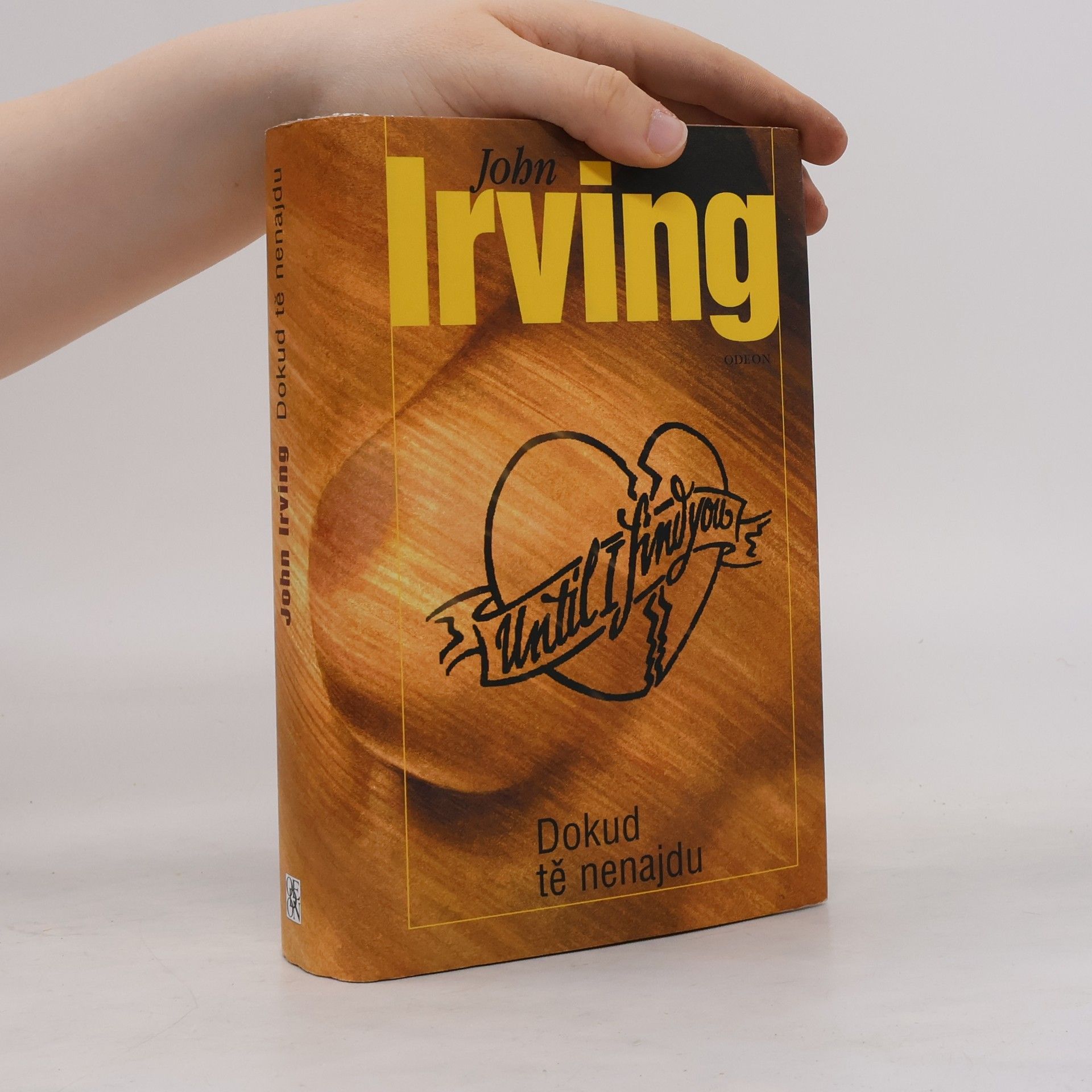 John Irving Dokud tě nenajdu