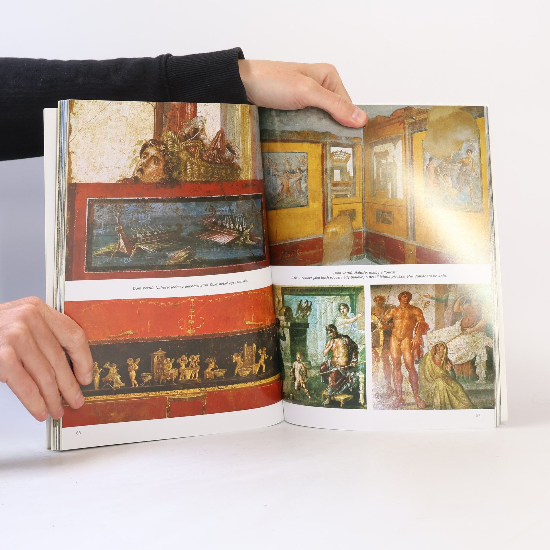 Alberto Carlo Carpiceci Pompeje. Dnes a jak vypadaly před 2000 lety