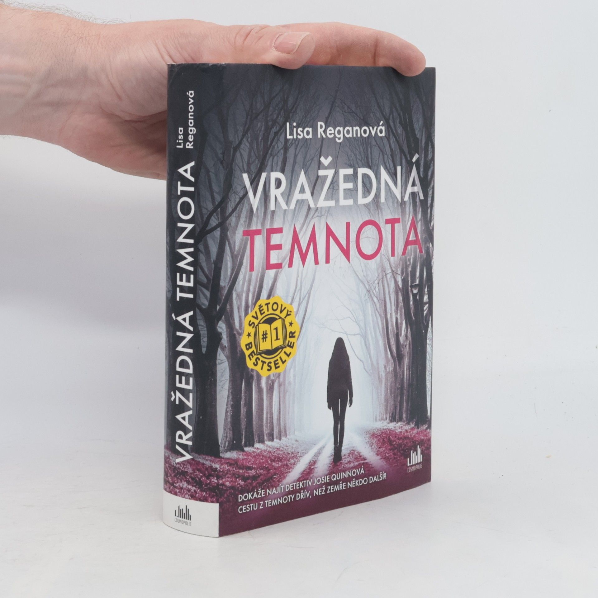 Lisa Regan Vražedná temnota