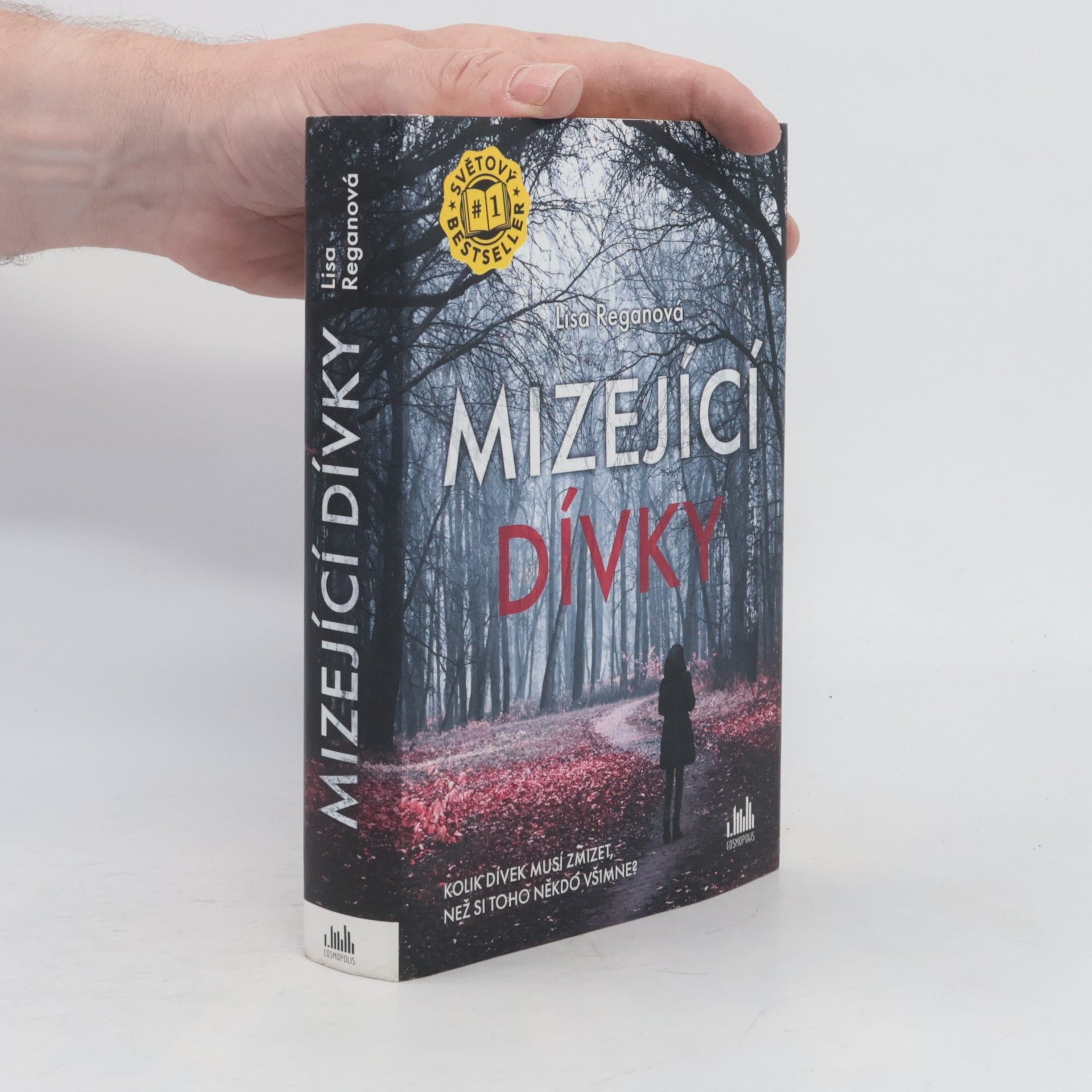 Lisa Regan Mizející dívky