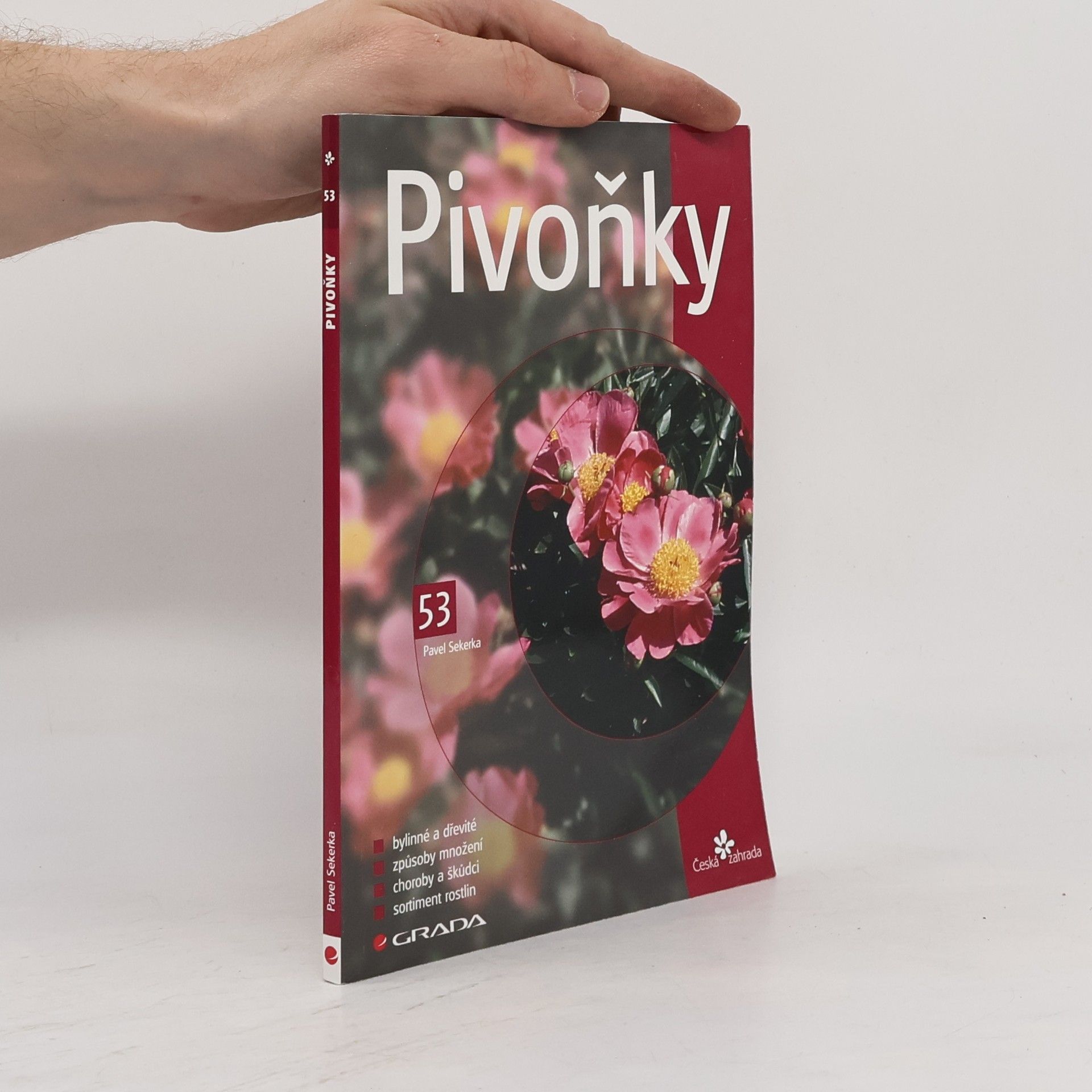 Pavel Sekerka Pivoňky