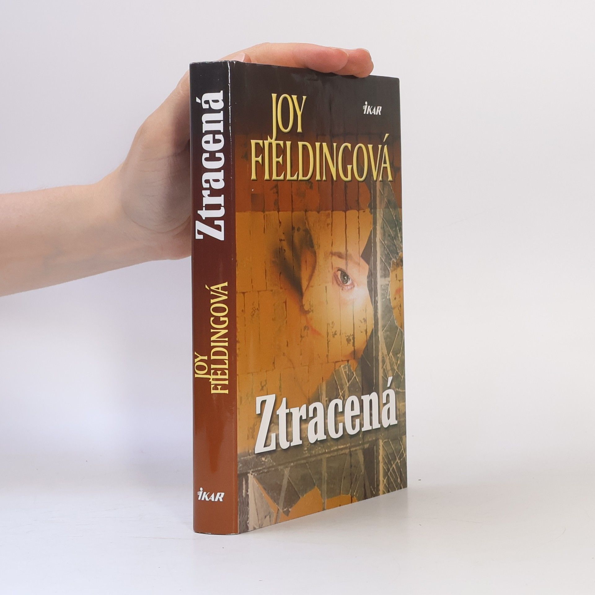 Joy Fielding Ztracená