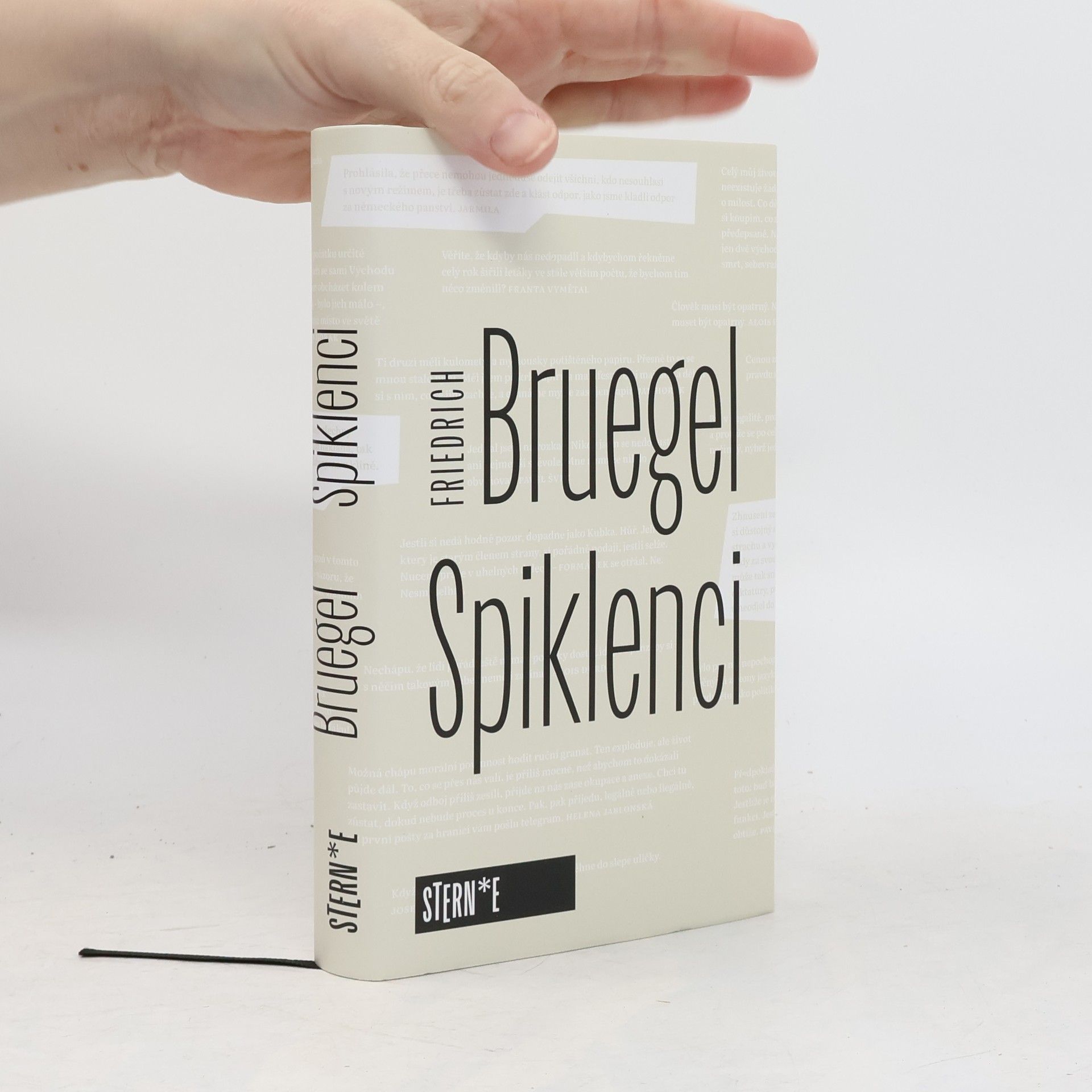 Friedrich Bruegel Spiklenci