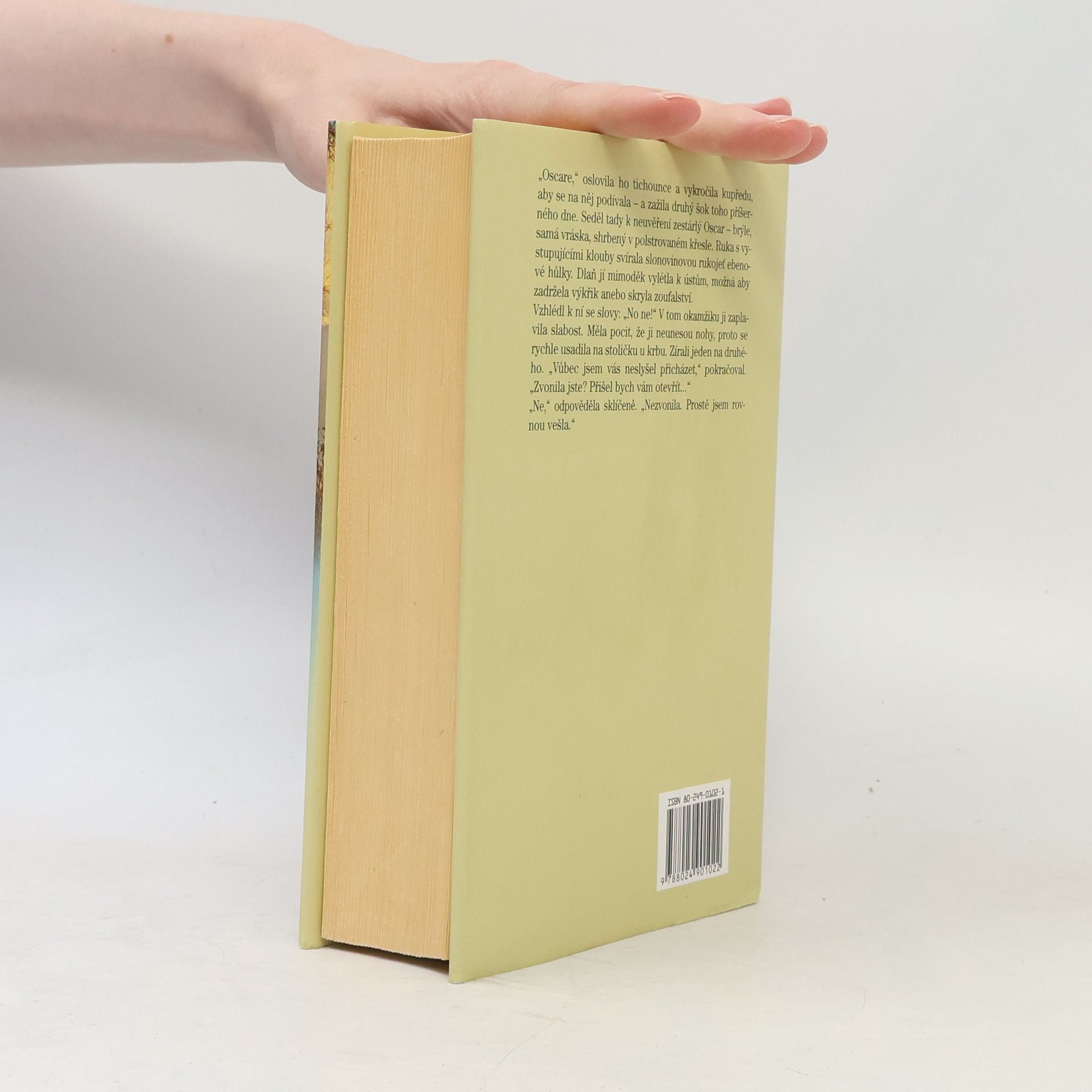 Rosamunde Pilcher Zimní slunovrat