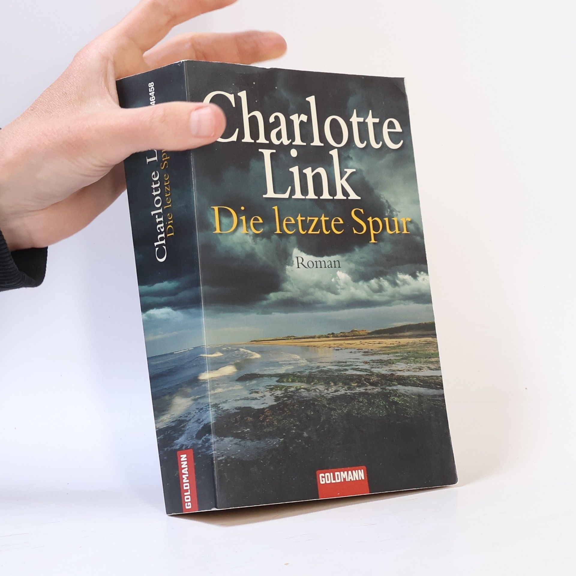 Charlotte Link Die letzte Spur