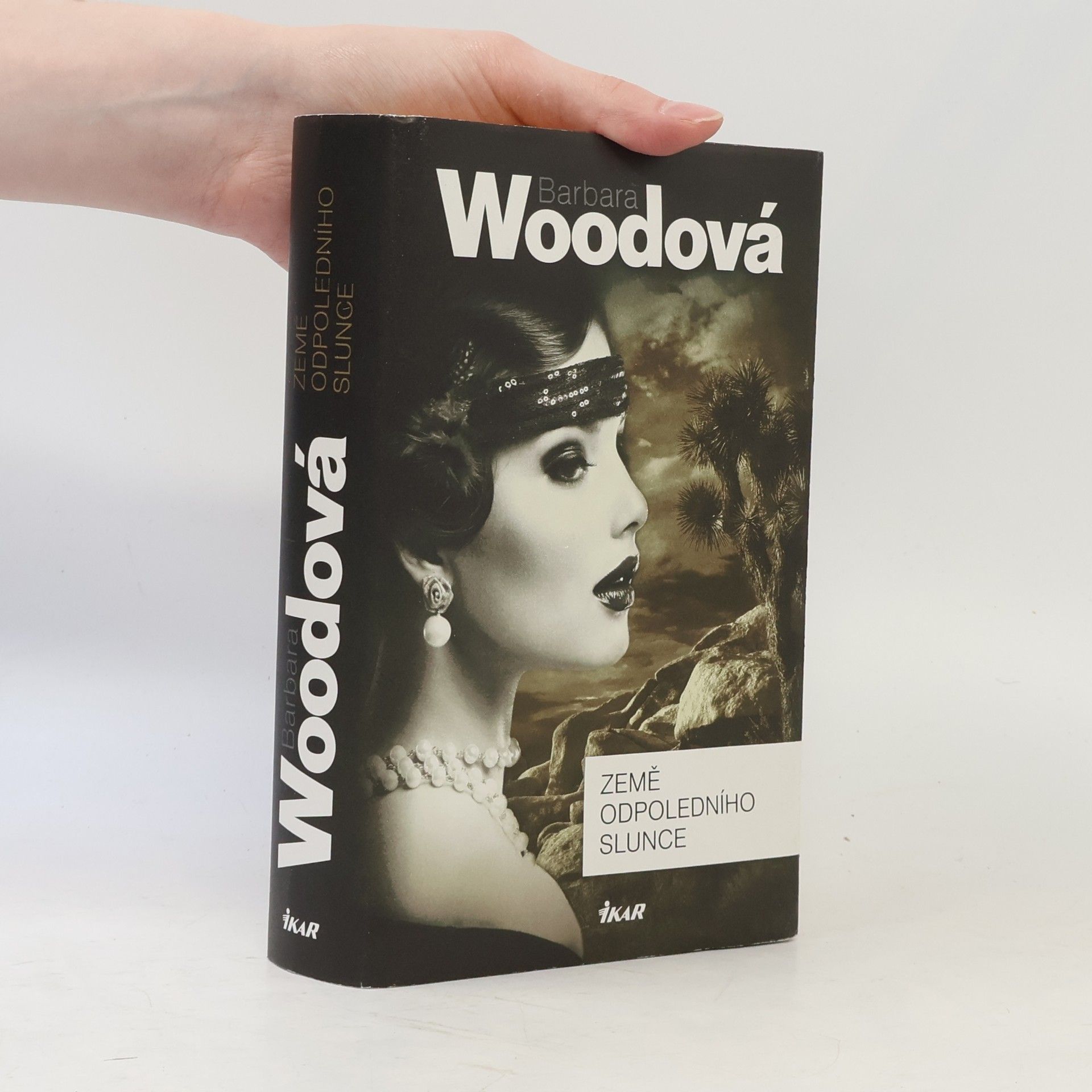 Barbara Wood Země odpoledního slunce