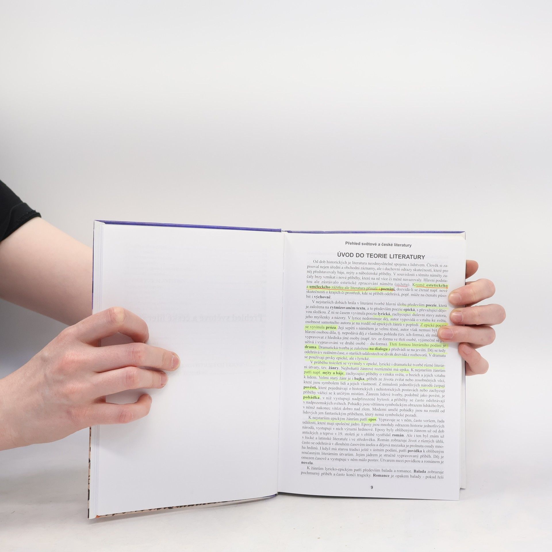 Alois Bauer Čeština na dlani. Přehled světové a české literatury