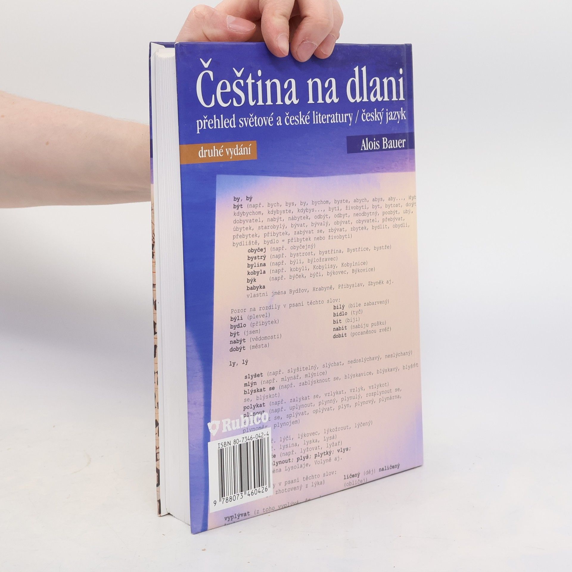 Alois Bauer Čeština na dlani. Přehled světové a české literatury