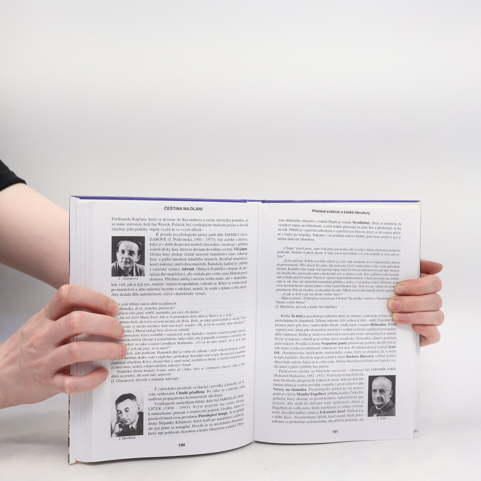 Alois Bauer Čeština na dlani. Přehled světové a české literatury