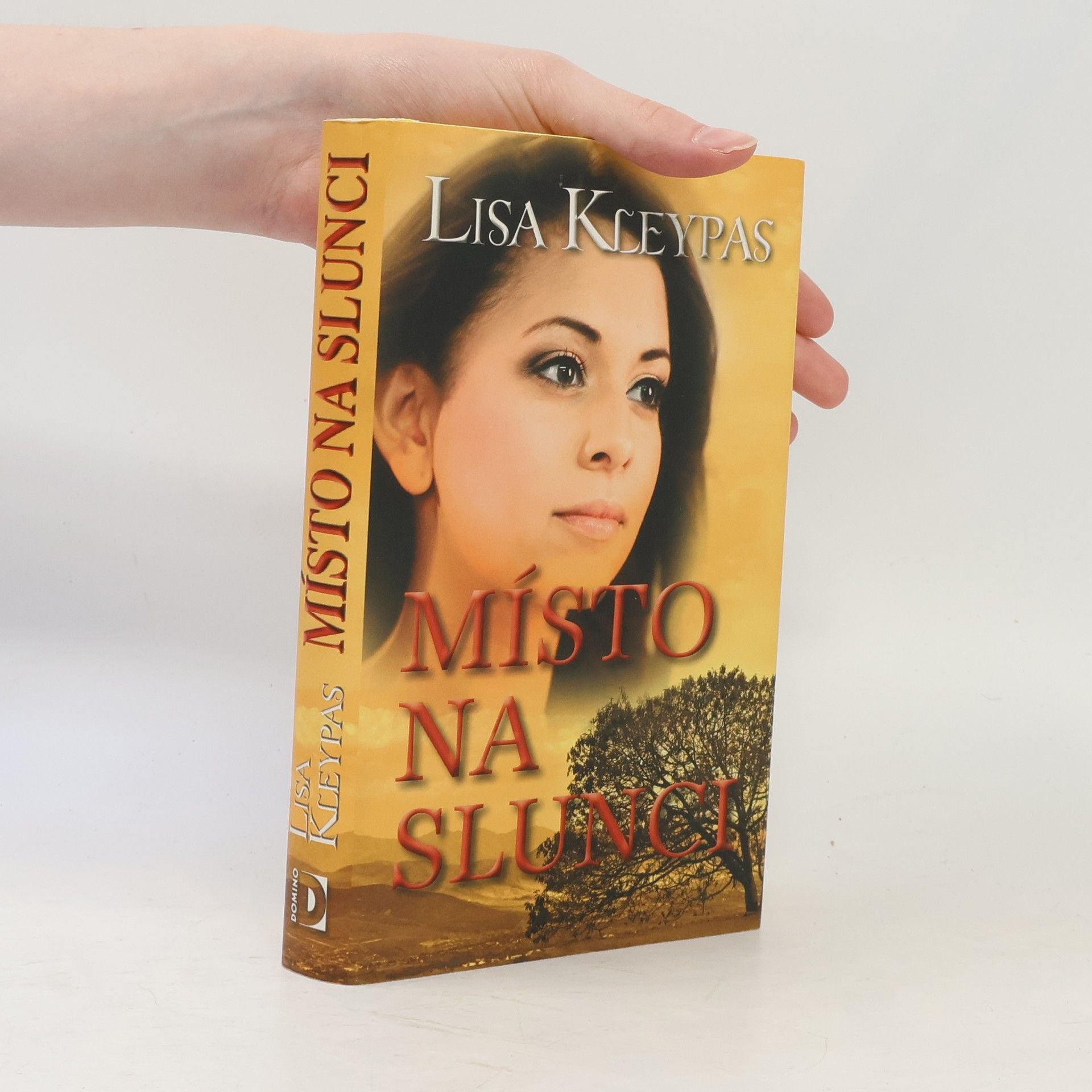 Lisa Kleypas Místo na slunci
