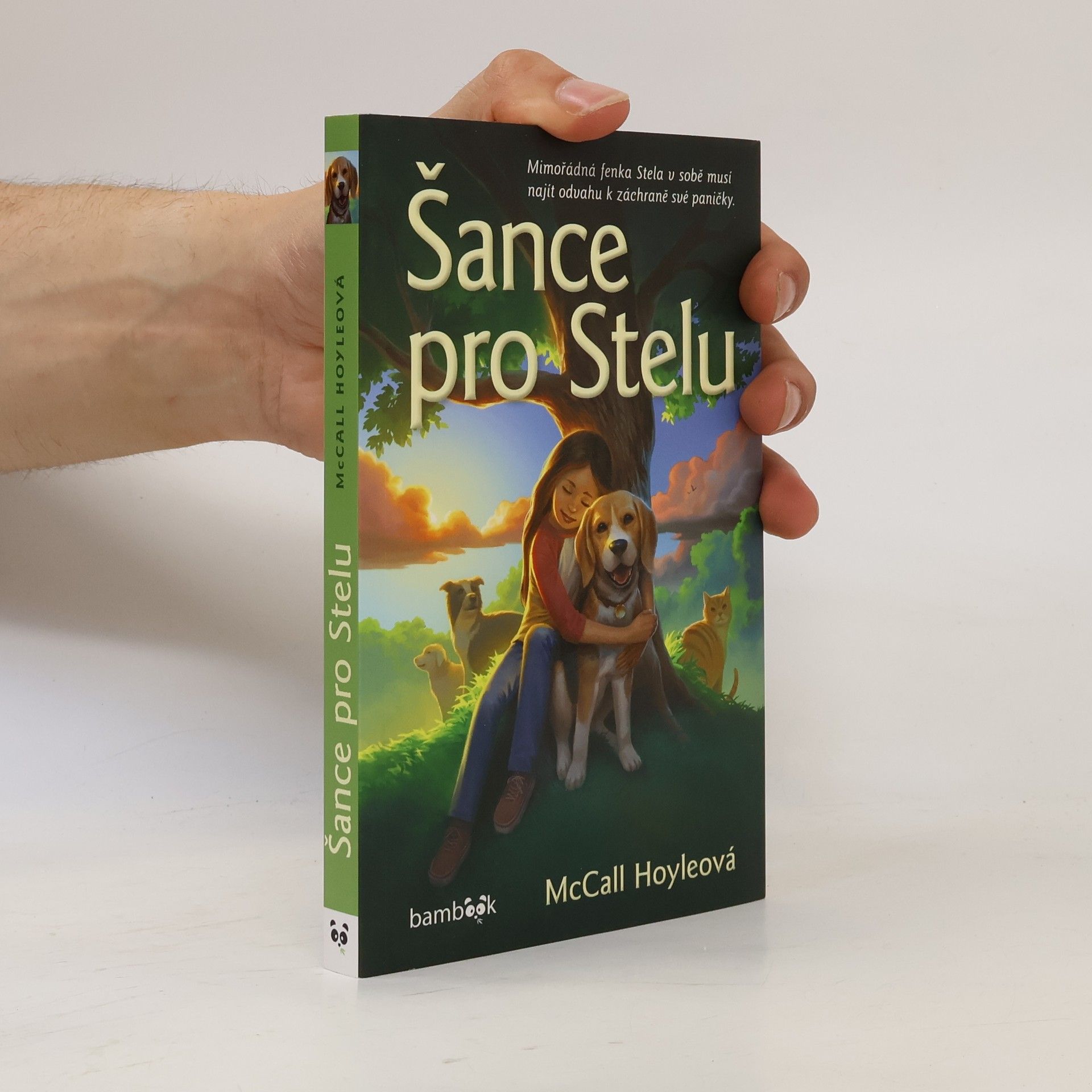 McCall Hoyle Šance pro Stelu