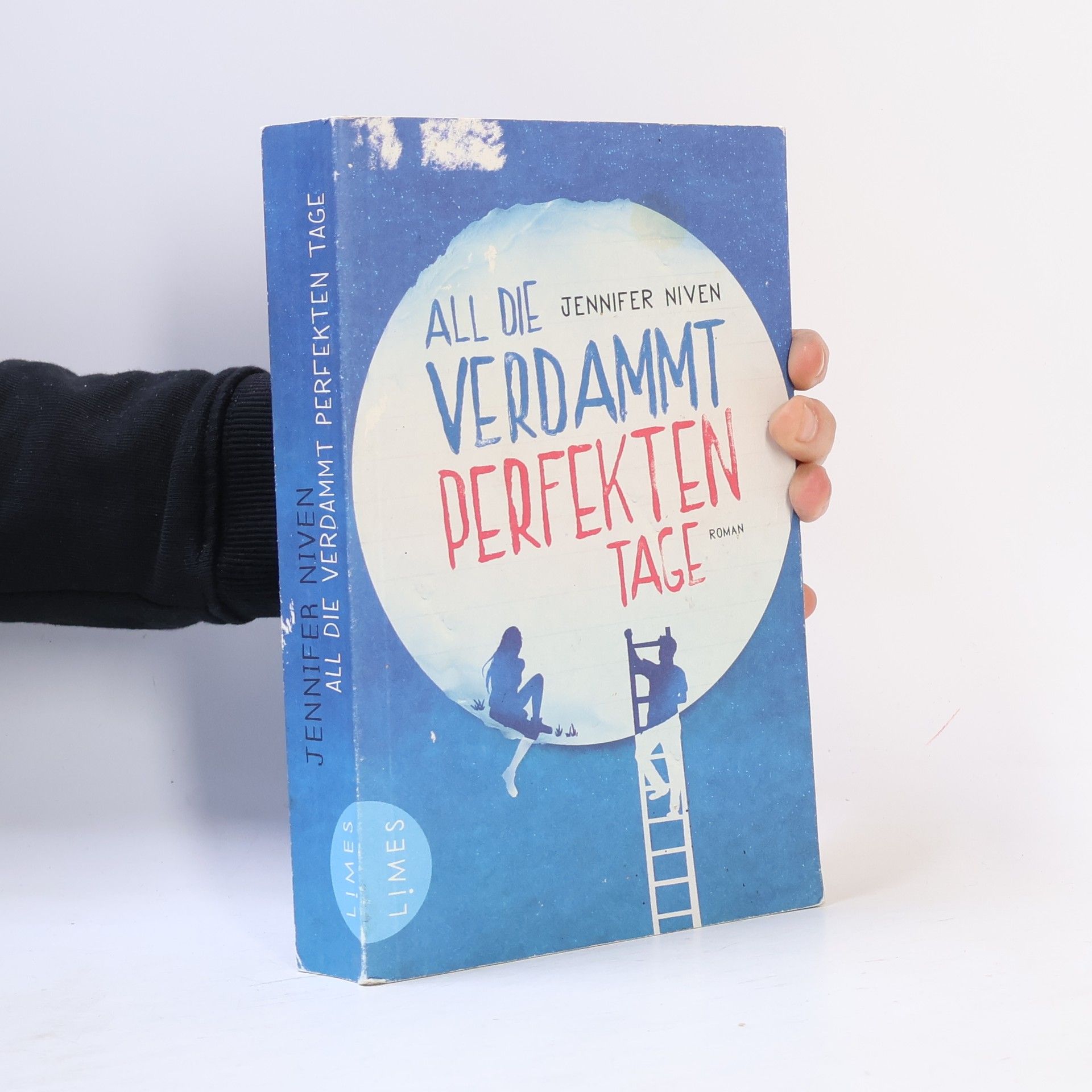 Jennifer Niven All die verdammt perfekten Tage