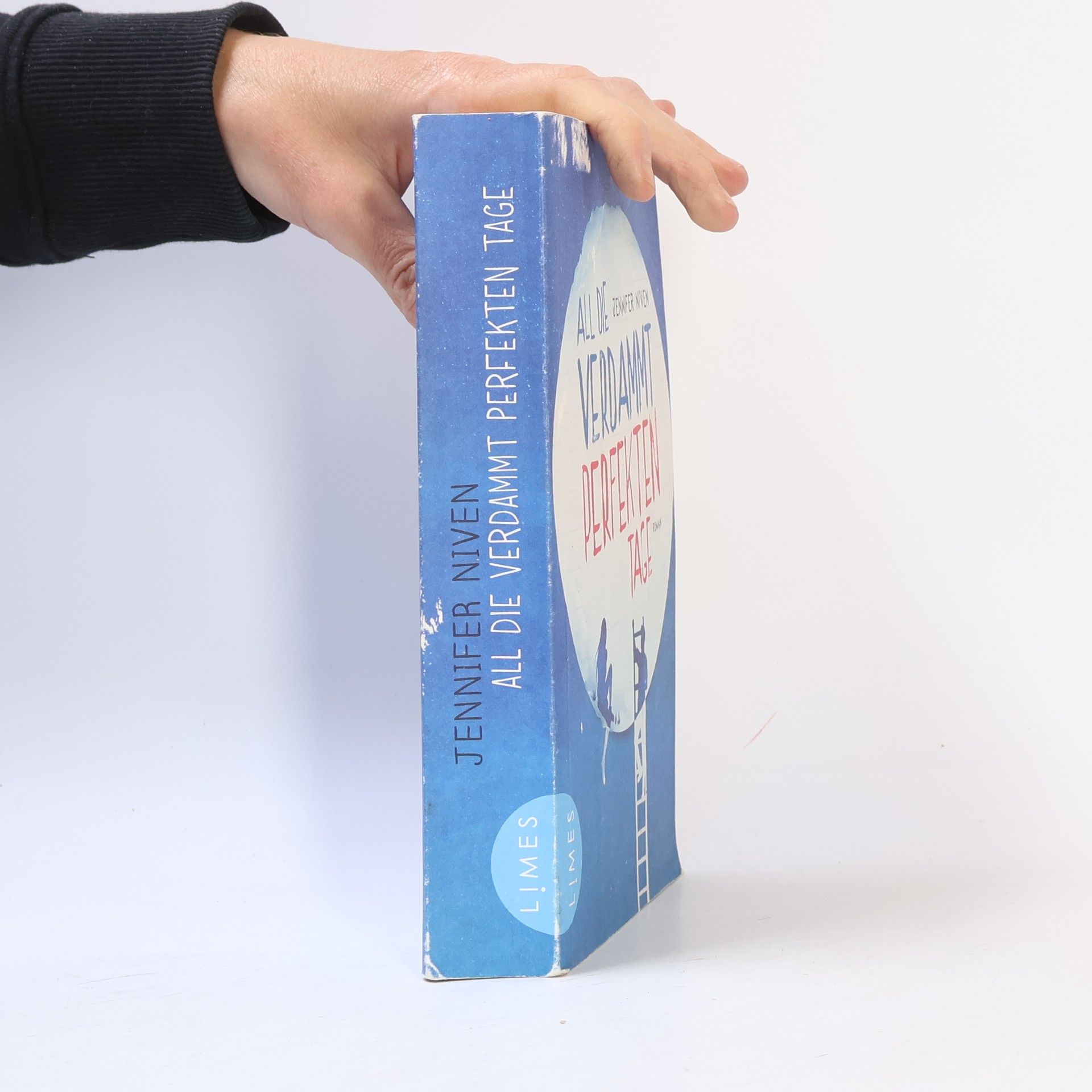 Jennifer Niven All die verdammt perfekten Tage