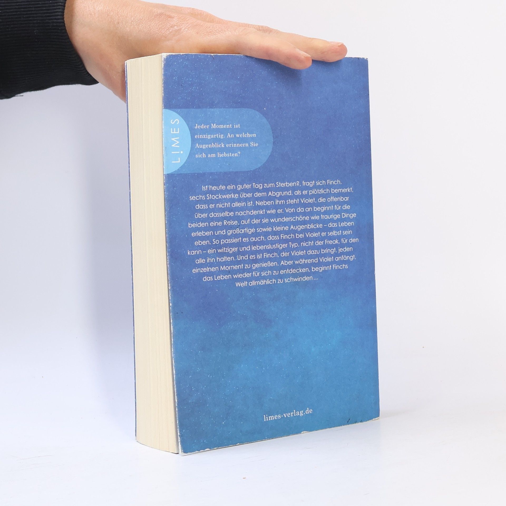Jennifer Niven All die verdammt perfekten Tage